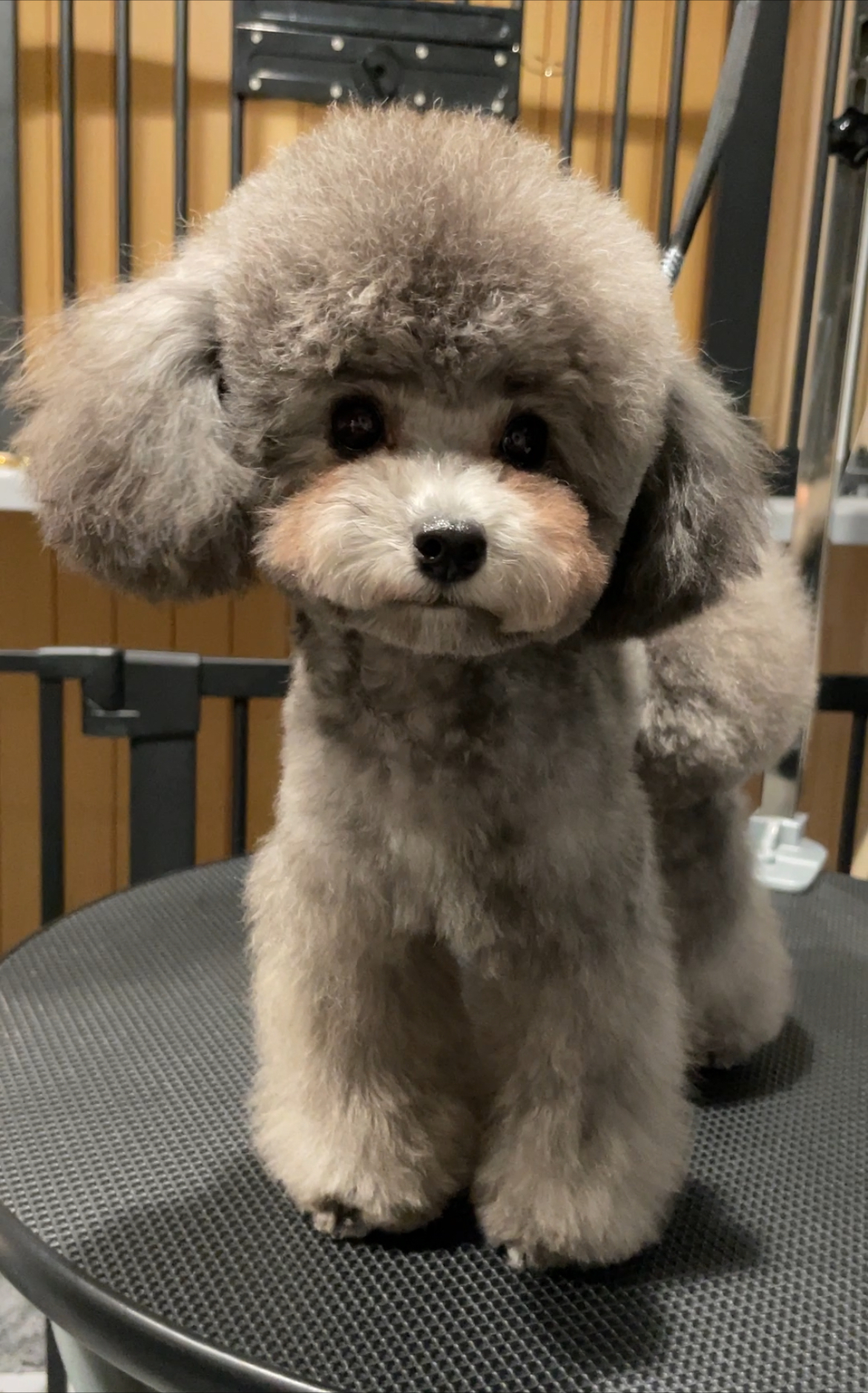デザインカットもお任せください♪