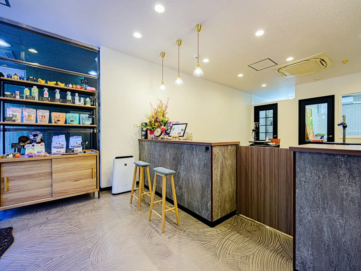 東京都千代田区のトリミングサロン Komachi Tokyo kudanのサムネイル2枚目