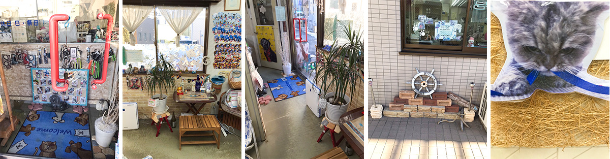埼玉県白岡市のトリミングサロン ペットサロンアミーゴの3枚目