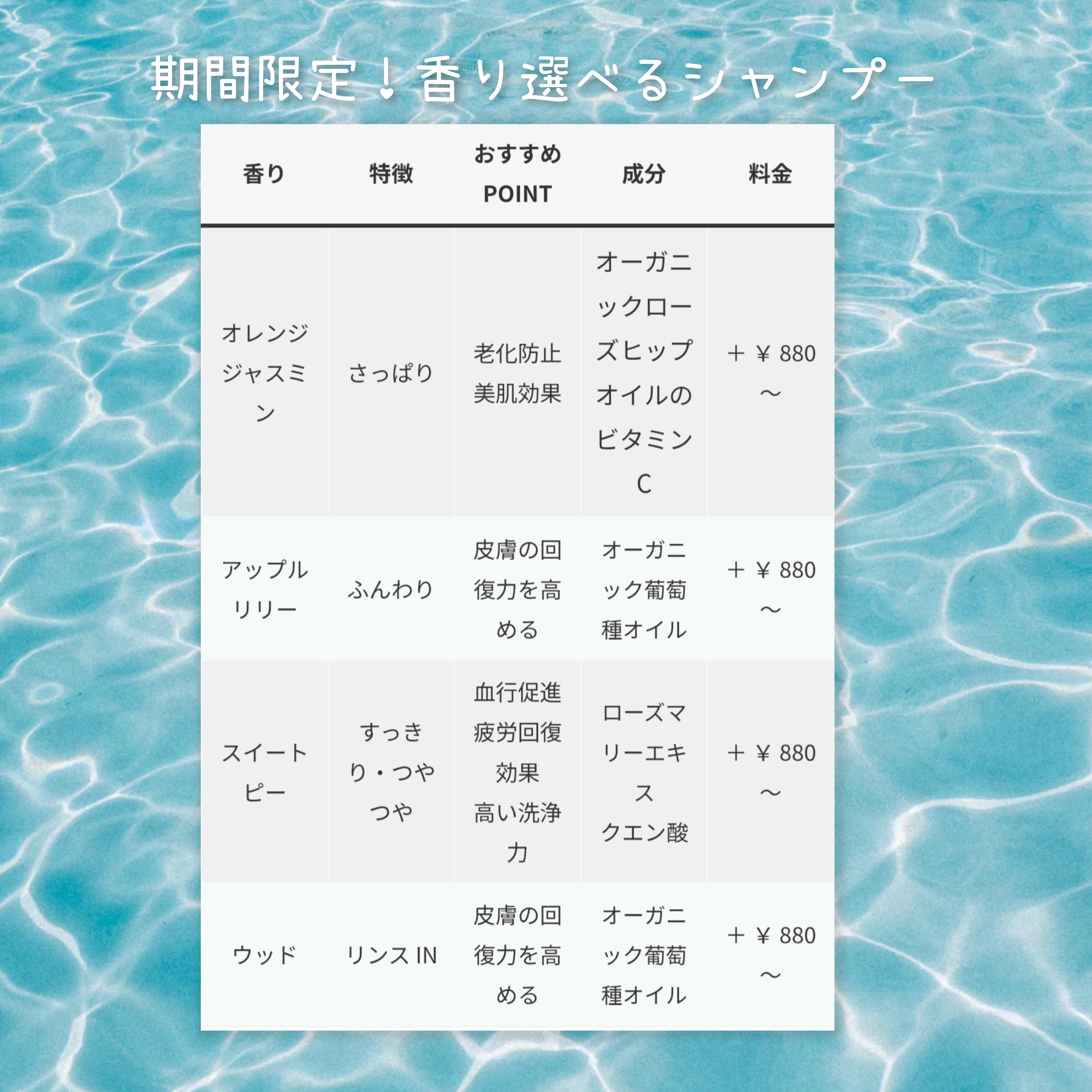 埼玉県吉川市のトリミングサロン ドッグサロン＆ホテル　CLIPの71枚目
