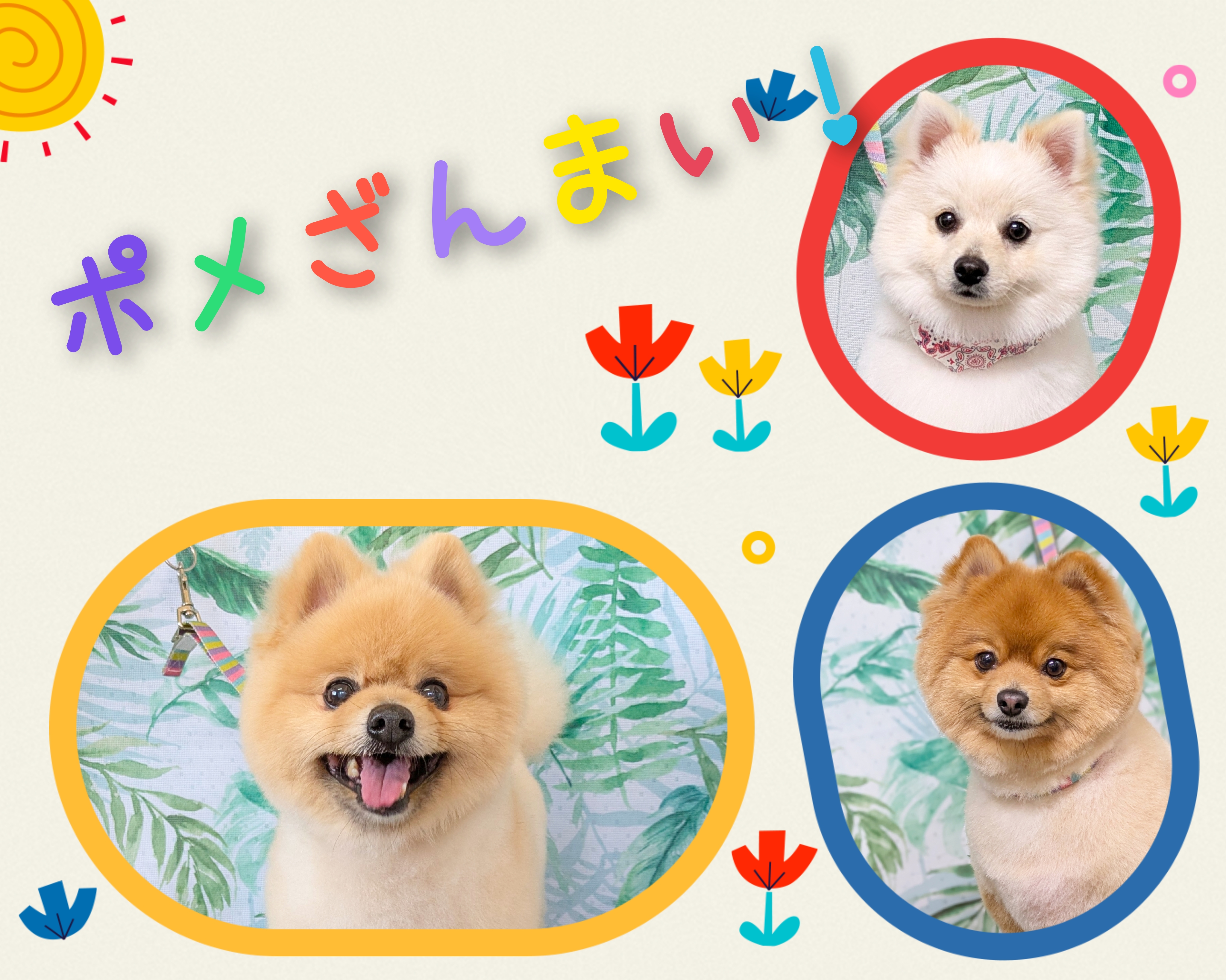 埼玉県吉川市のトリミングサロン ドッグサロン&ホテル CLIPの59枚目
