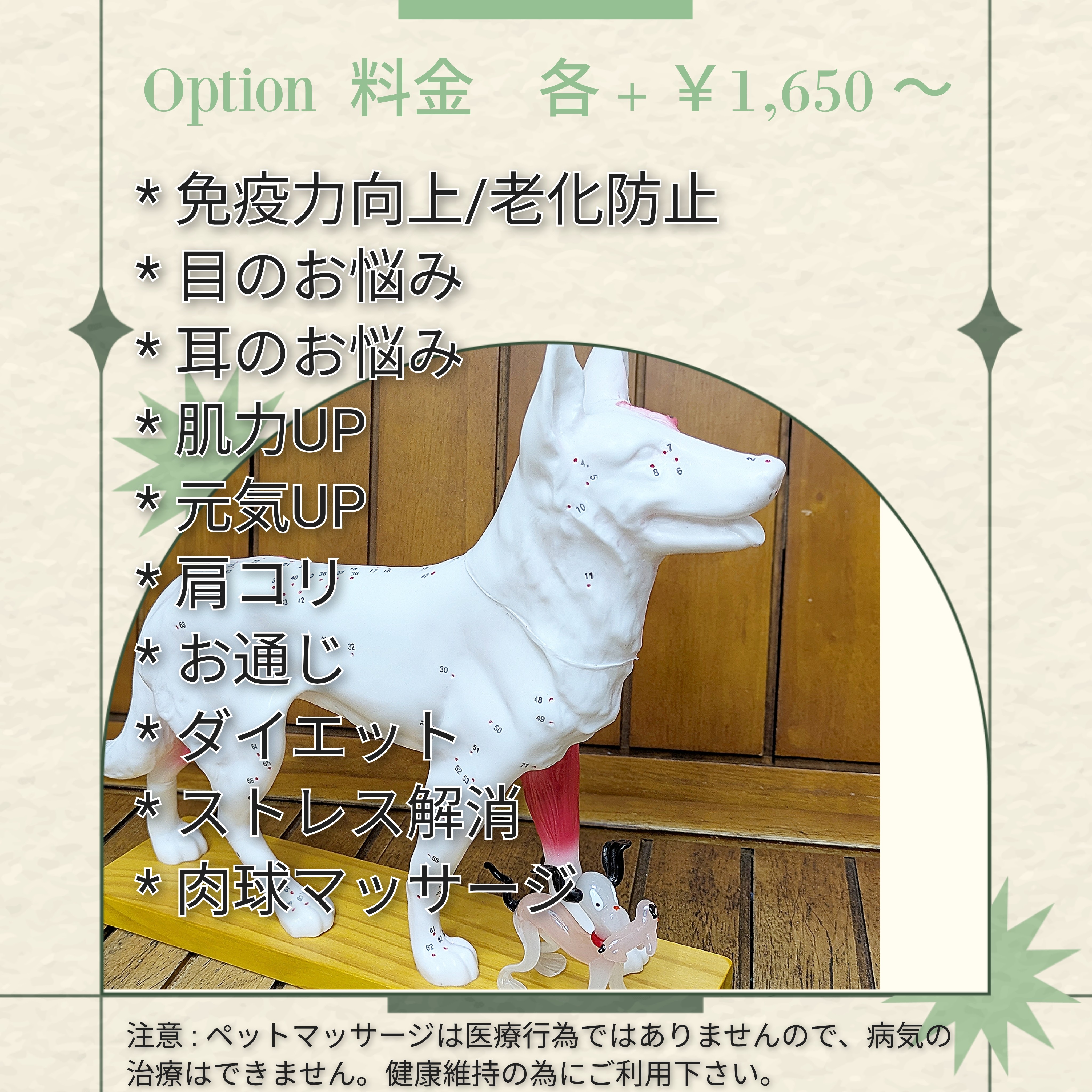 埼玉県吉川市のトリミングサロン ドッグサロン&ホテル CLIPの23枚目