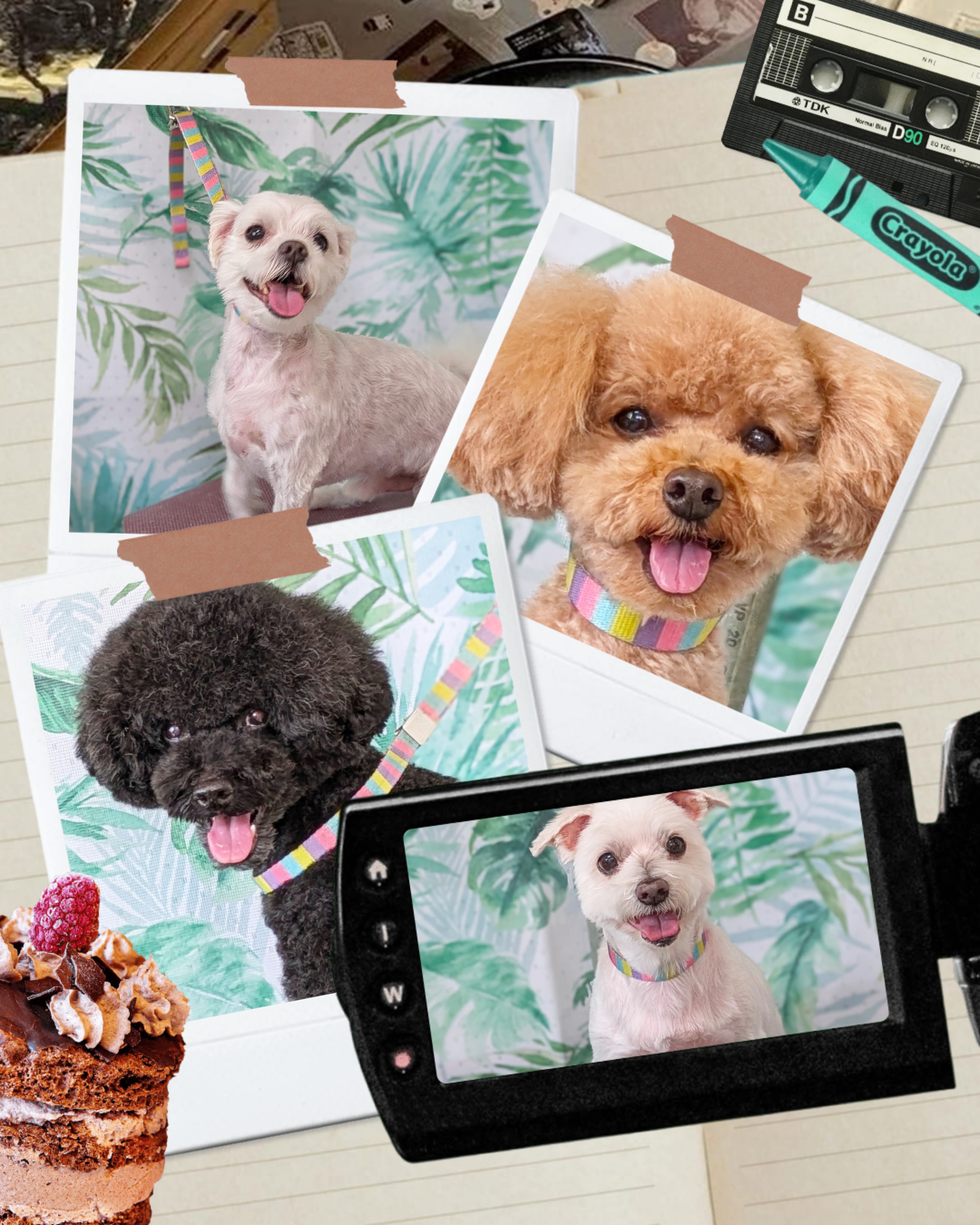 埼玉県吉川市のトリミングサロン ドッグサロン＆ホテル　CLIPの77枚目