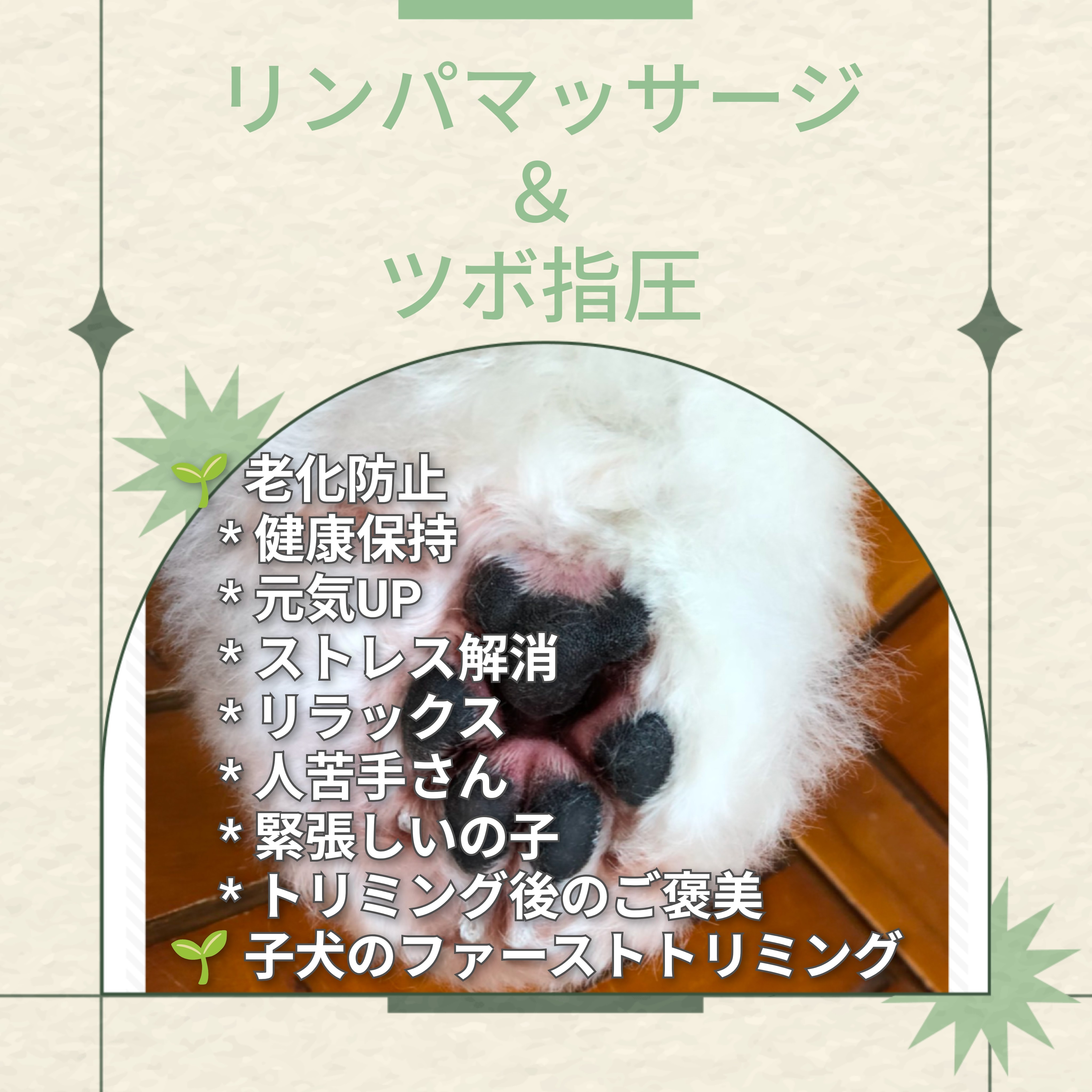 埼玉県吉川市のトリミングサロン ドッグサロン&ホテル CLIPの24枚目