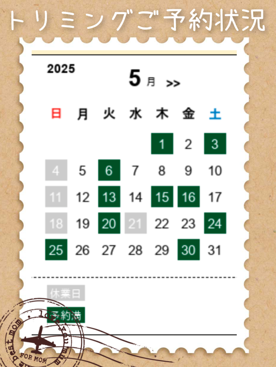 埼玉県吉川市のトリミングサロン ドッグサロン&ホテル CLIPの61枚目