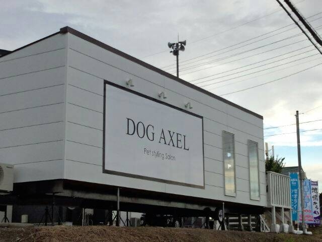 埼玉県小川町のトリミングサロン DOGAXELのサムネイル2枚目