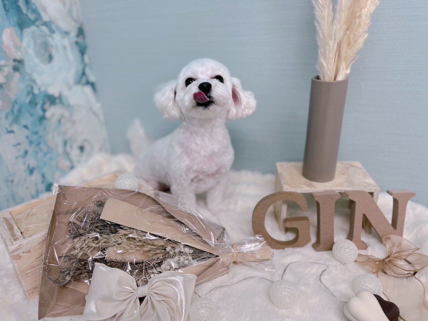 トリミングカット GINペットトリミングサロンの1枚目