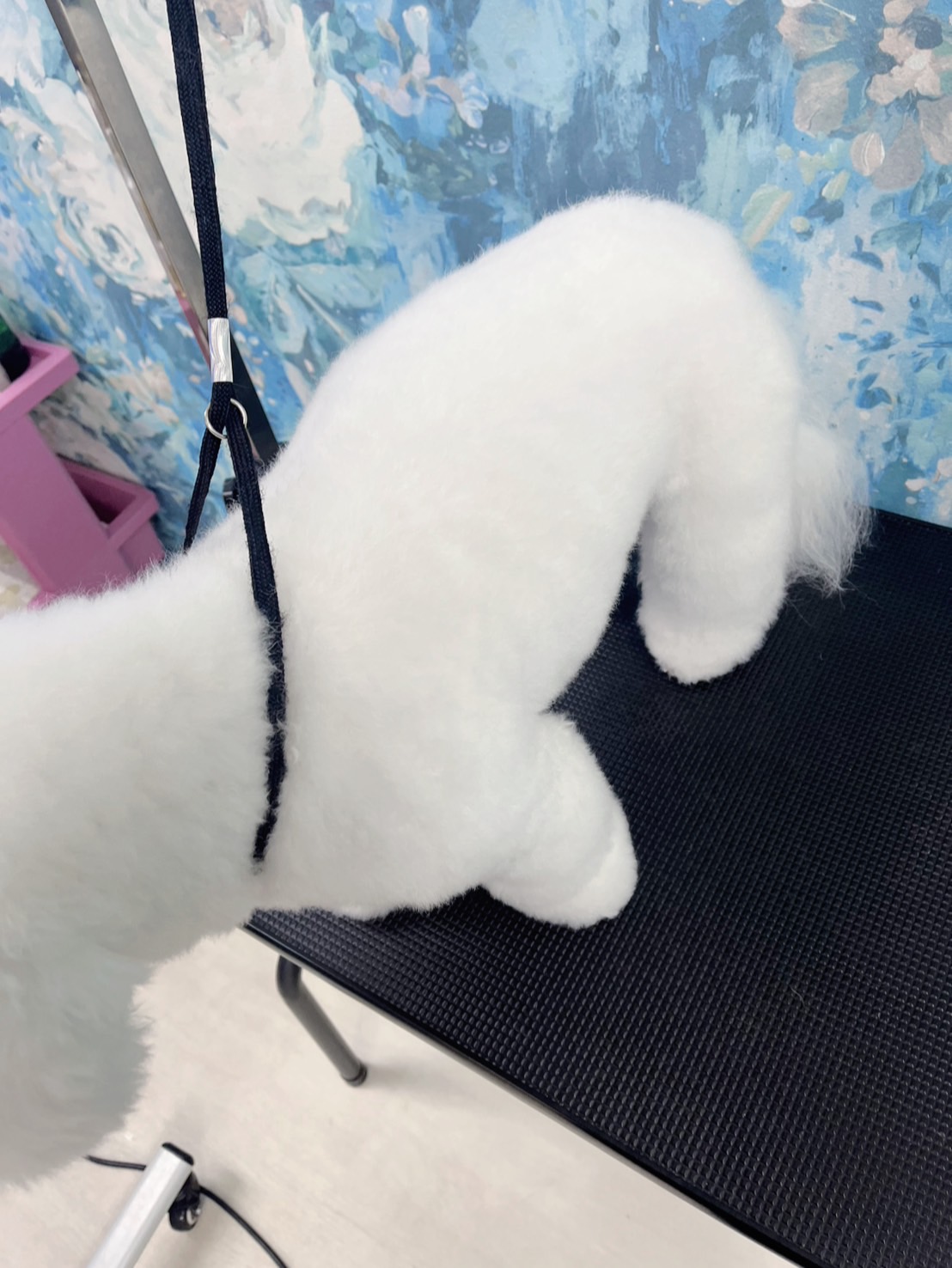 トリミングカット GINペットトリミングサロンの3枚目