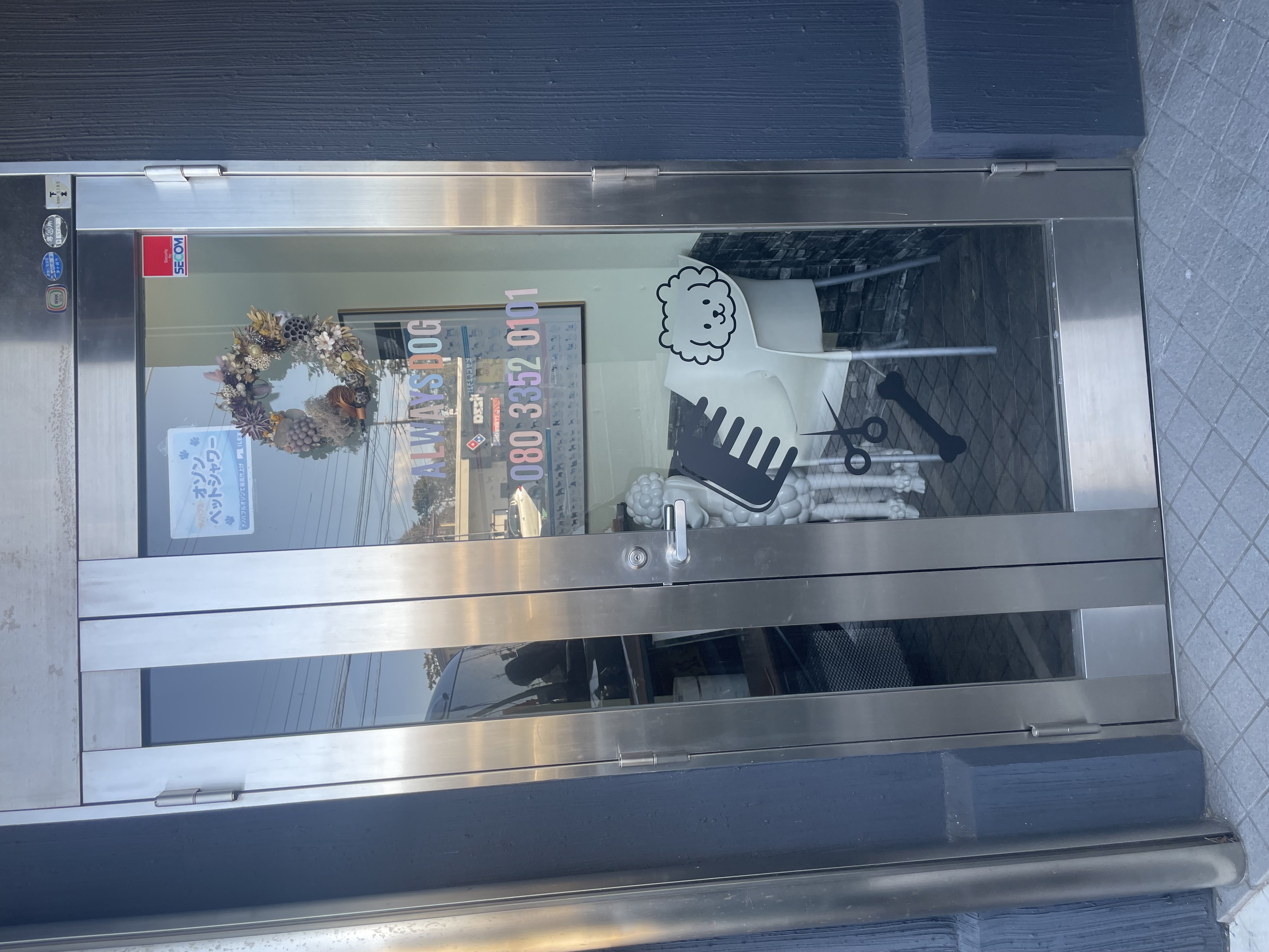 神奈川県茅ヶ崎市のトリミングサロン alwaysdogのサムネイル1枚目
