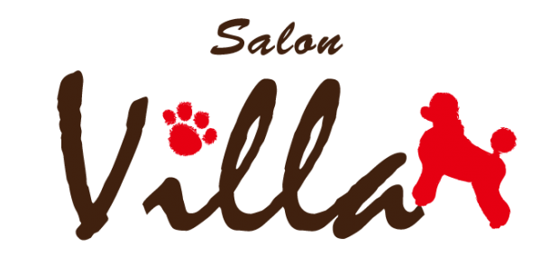 福岡県宗像市のトリミングサロン Salon Villa(サロン ヴィラ)の3枚目