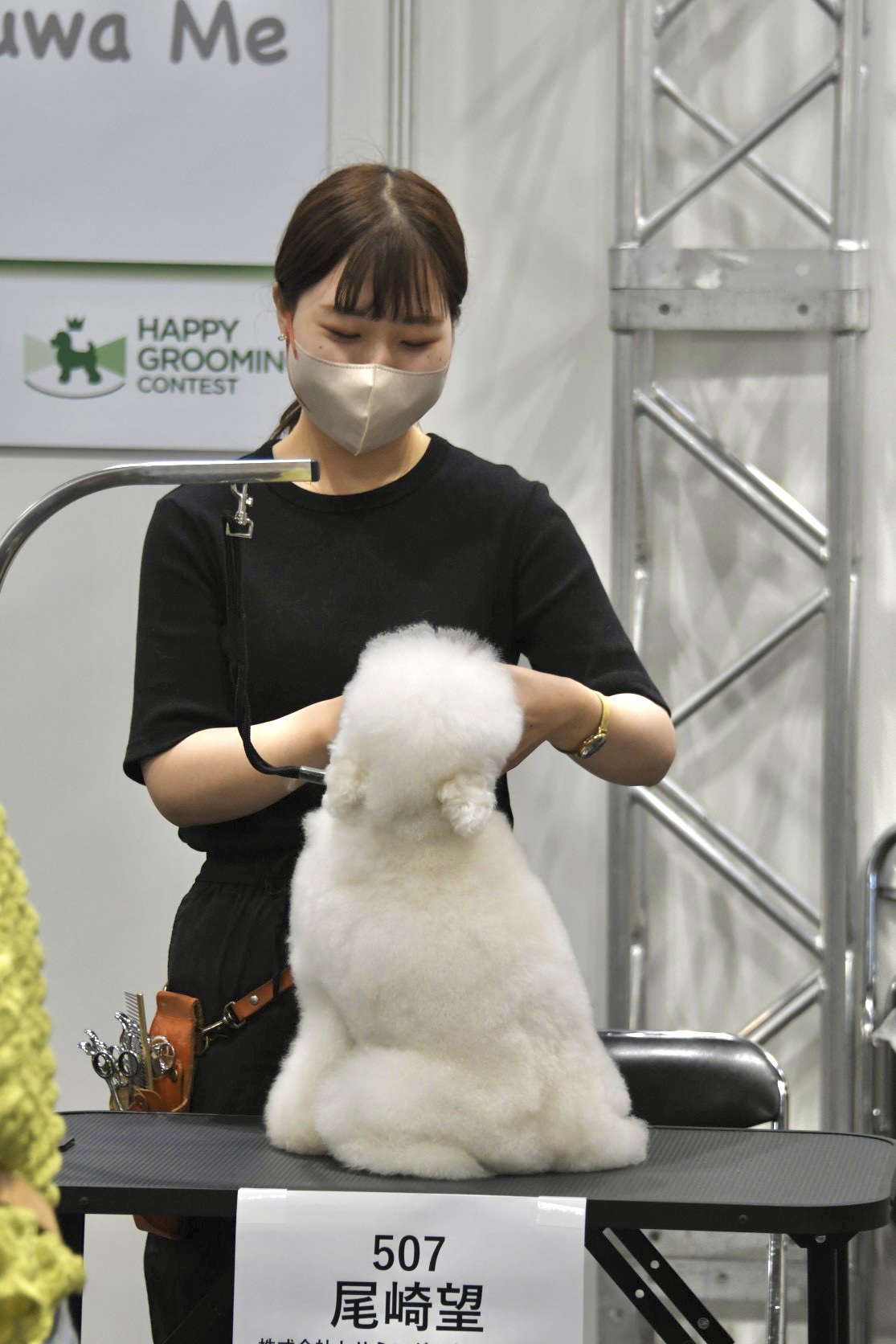トリミングサロン ドッグサロンmomoのトリマー 尾崎 望