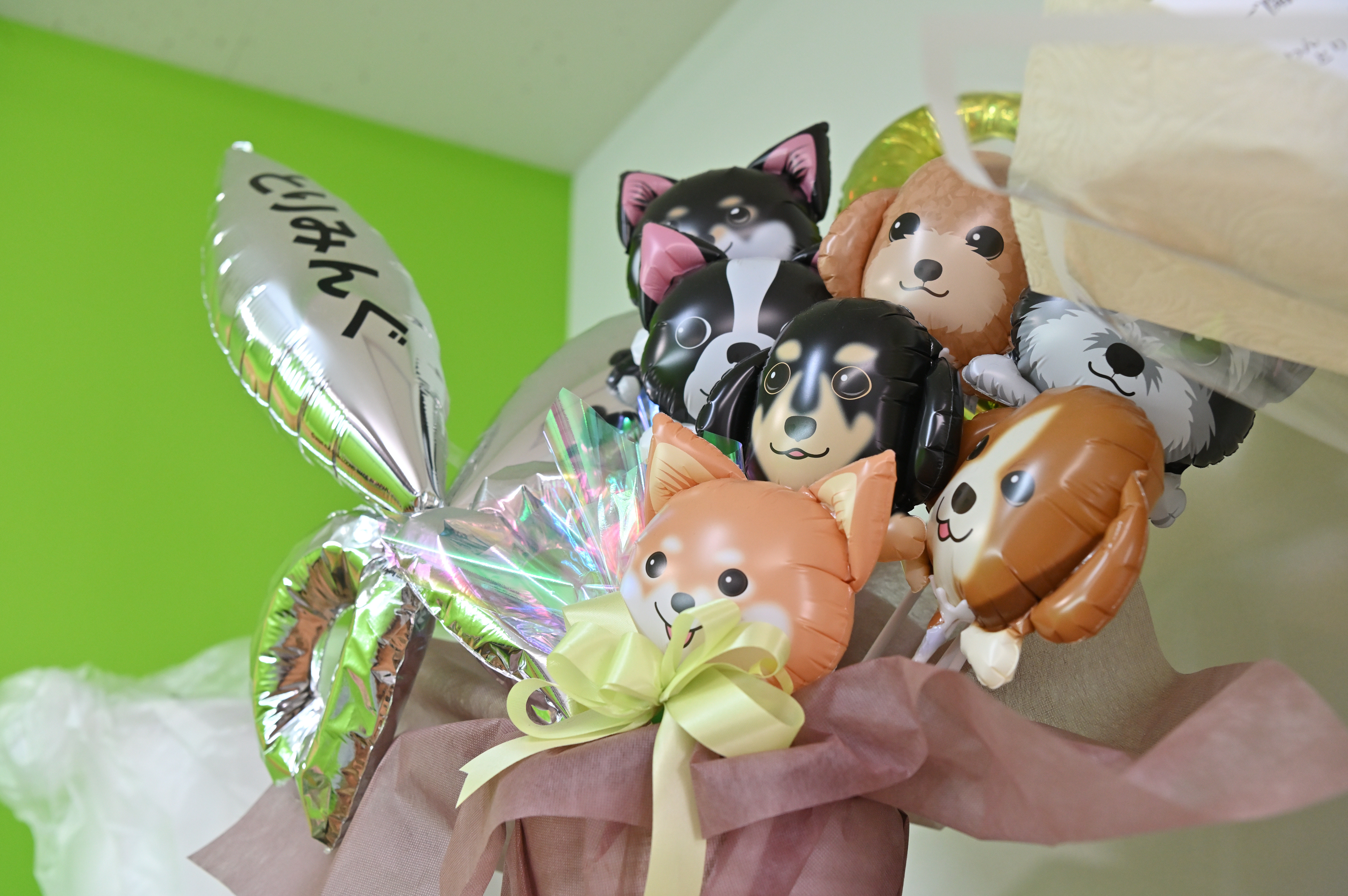 神奈川県小田原市のトリミングサロン とりみんぐ屋のサムネイル2枚目
