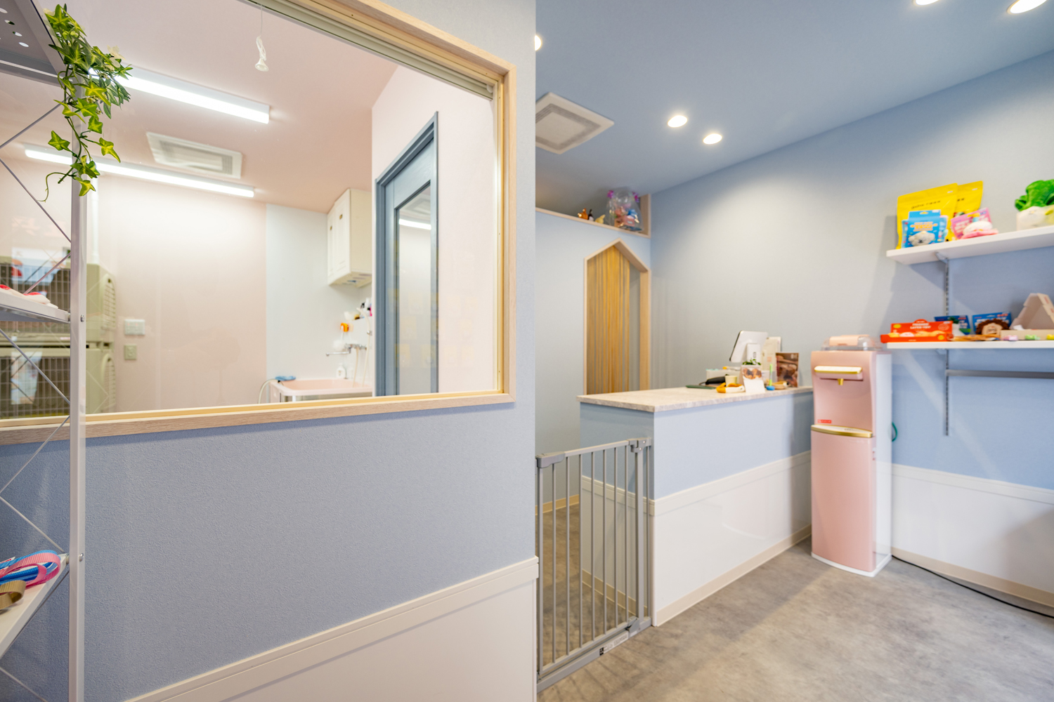 東京都大田区のトリミングサロン PETSALON REPOSの5枚目