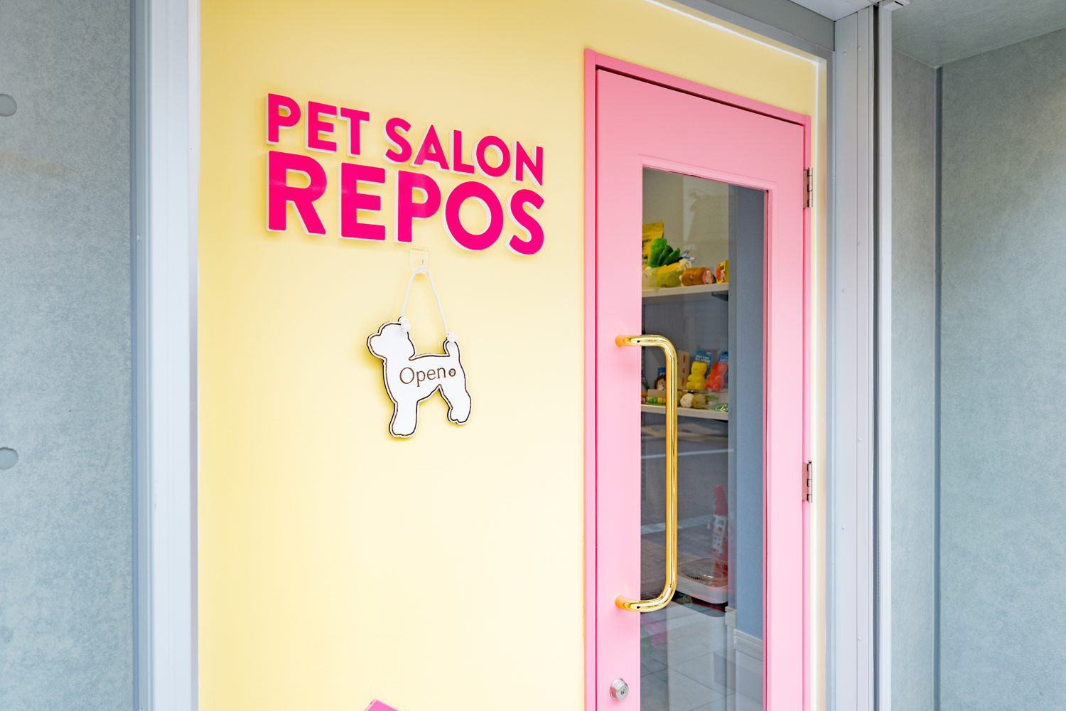 東京都大田区のトリミングサロン PETSALON REPOSのサムネイル2枚目