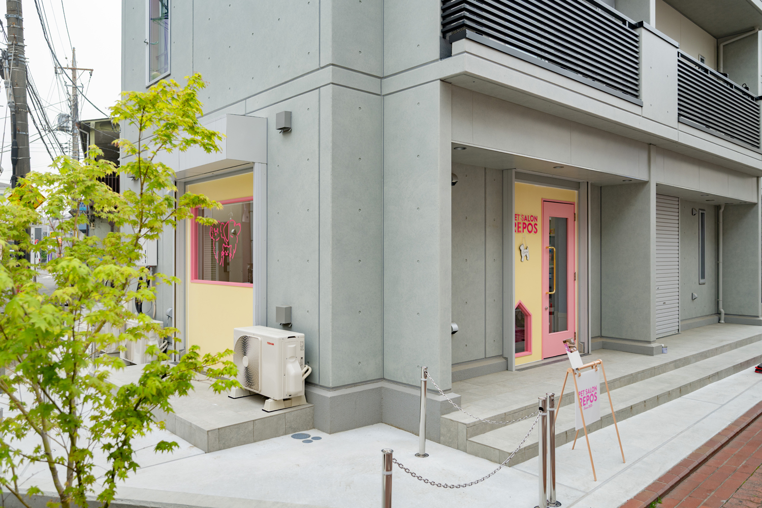 東京都大田区のトリミングサロン PETSALON REPOSの3枚目