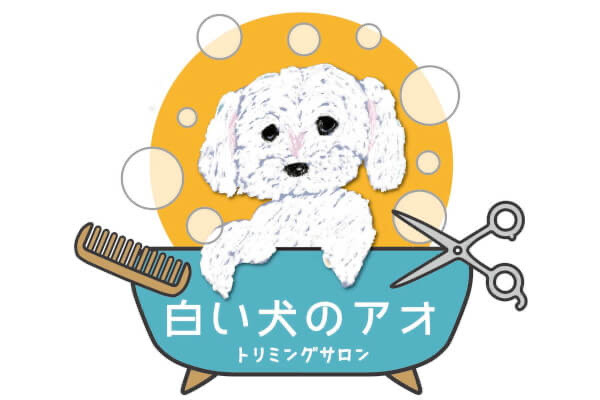 兵庫県神戸市北区のトリミングサロン 啓発型トリミングサロン　白い犬のアオのサムネイル1枚目