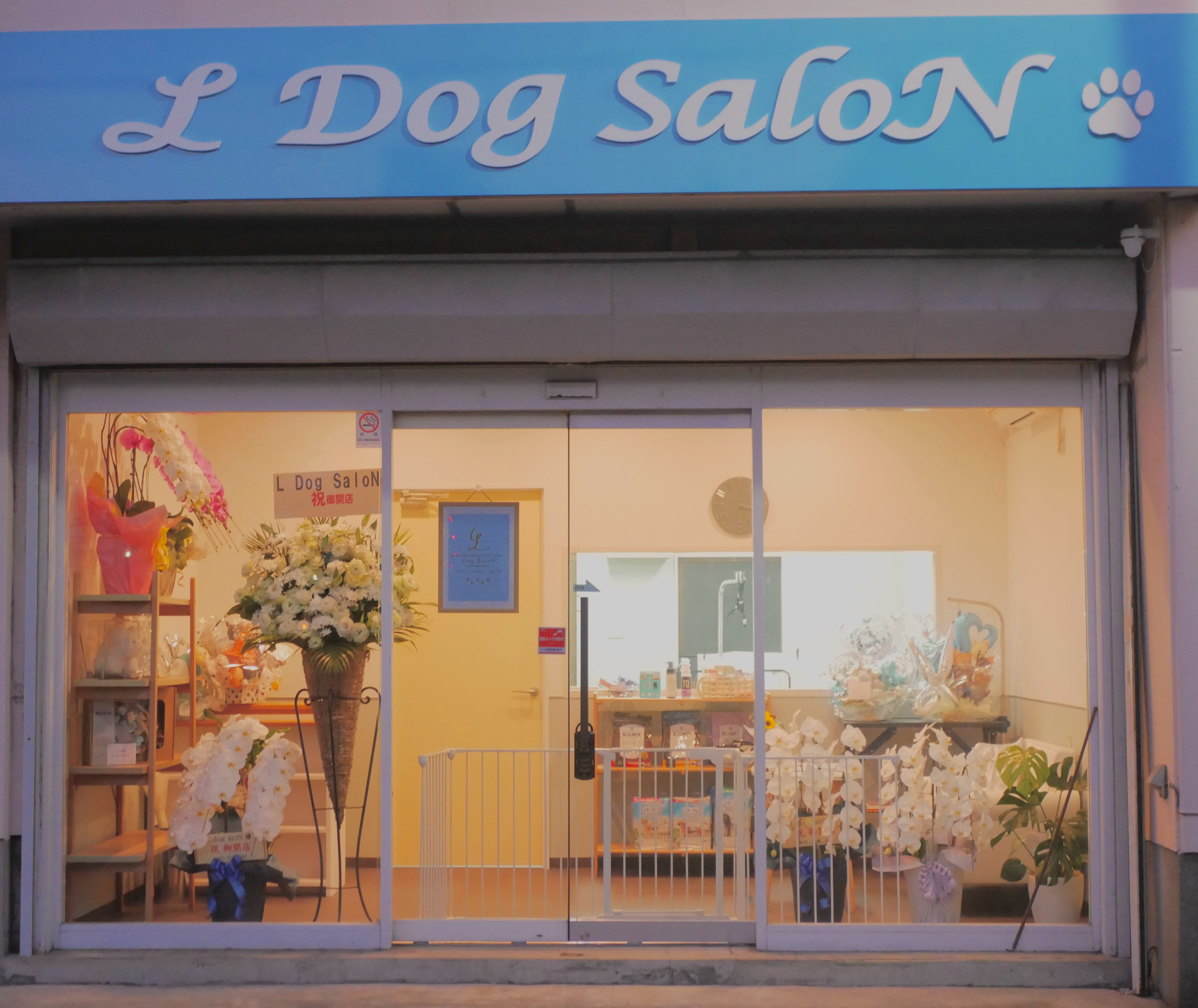 神奈川県海老名市のトリミングサロン L Dog SaloN -エルドッグサロン- ⭐︎7/2 Open⭐︎の5枚目