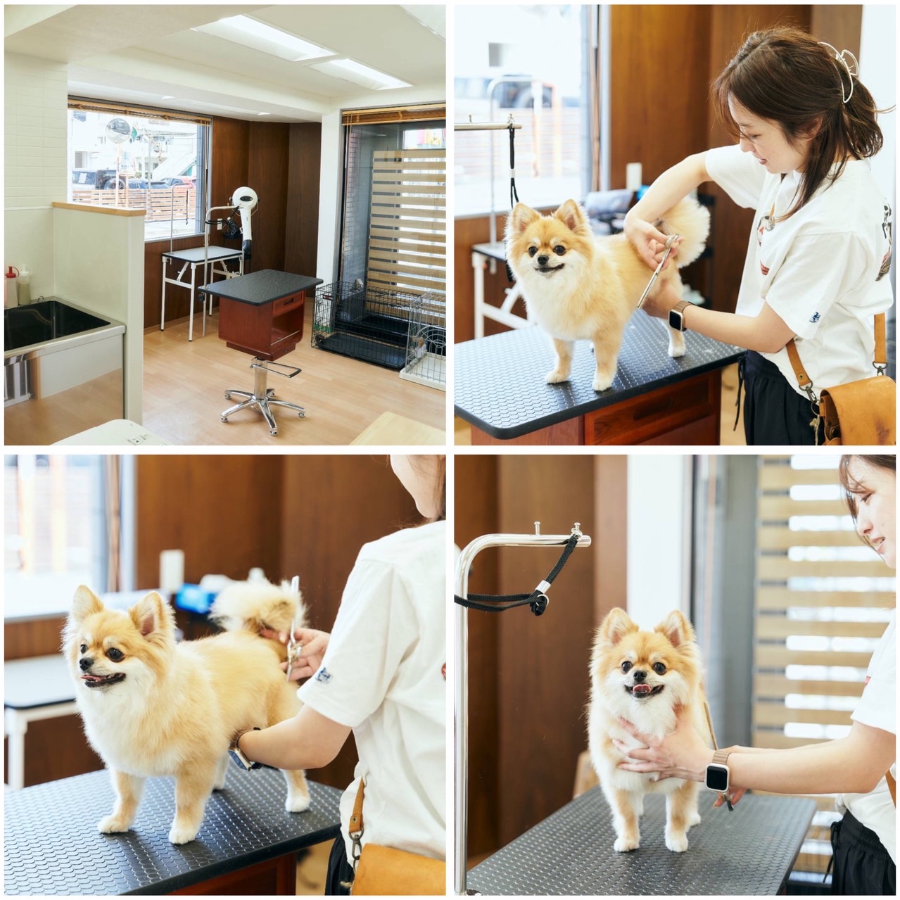 神奈川県横浜市港北区のトリミングサロン FUR-FUR(フルフル)のサムネイル2枚目
