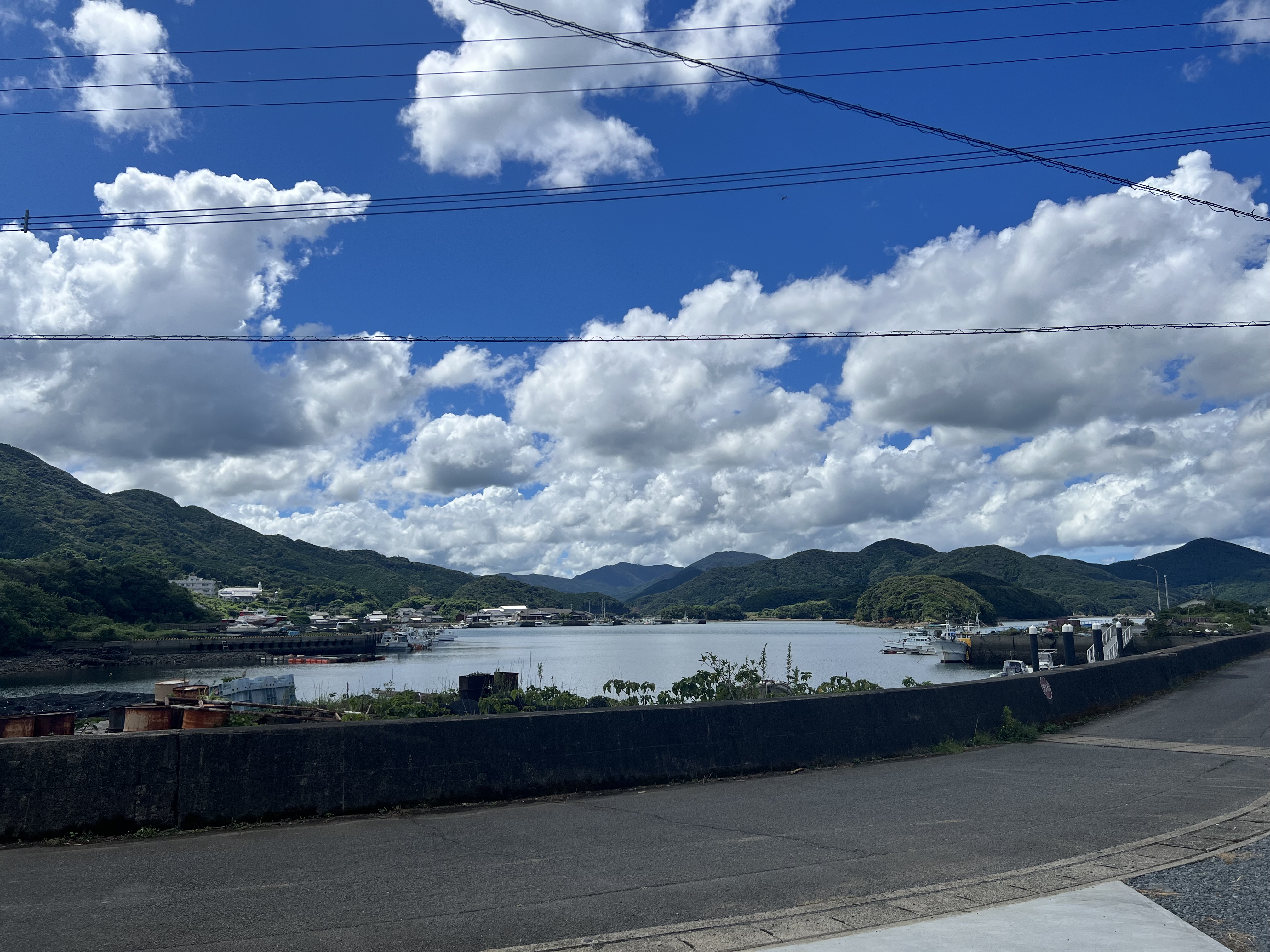 長崎県五島市のトリミングサロン しっぽの5枚目