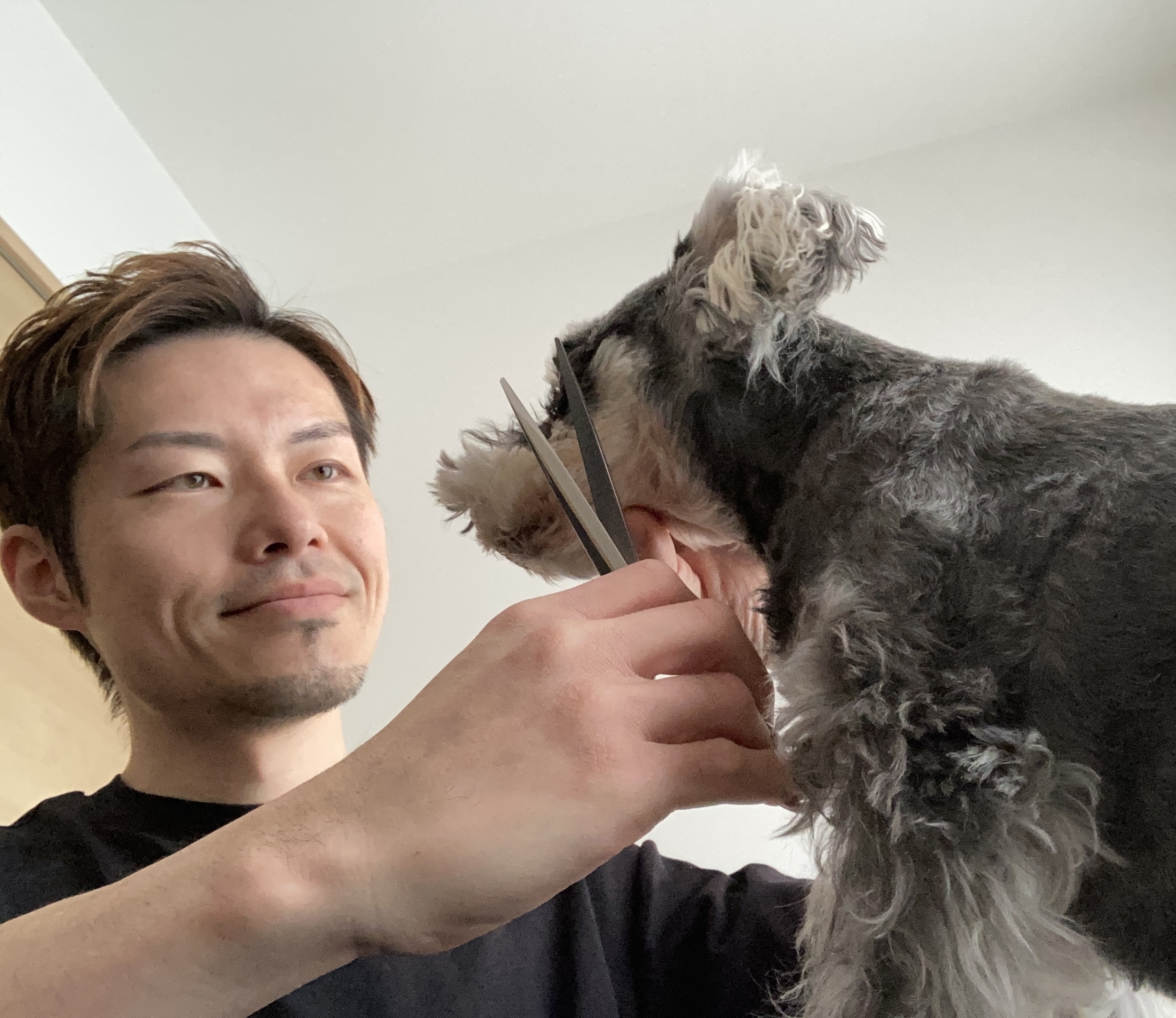 新潟県見附市のトリミングサロン Gluck【訪問専門】のサムネイル1枚目