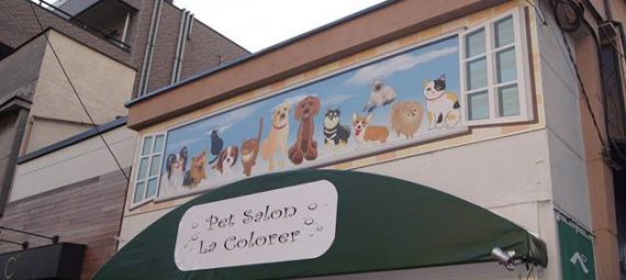 東京都江東区のトリミングサロン Pet Salon La Colorer(クロレ)の1枚目