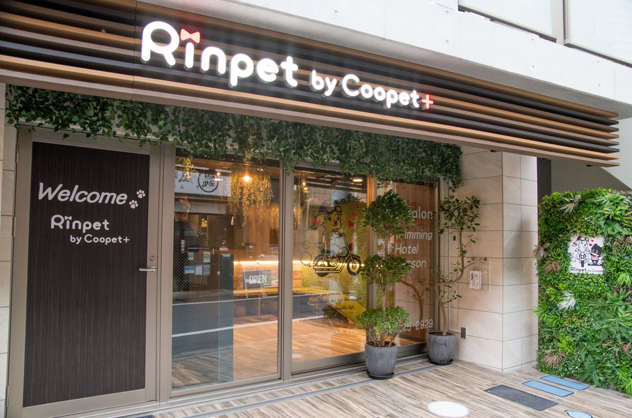 東京都中央区のトリミングサロン Rinpet by Coopet＋のサムネイル2枚目