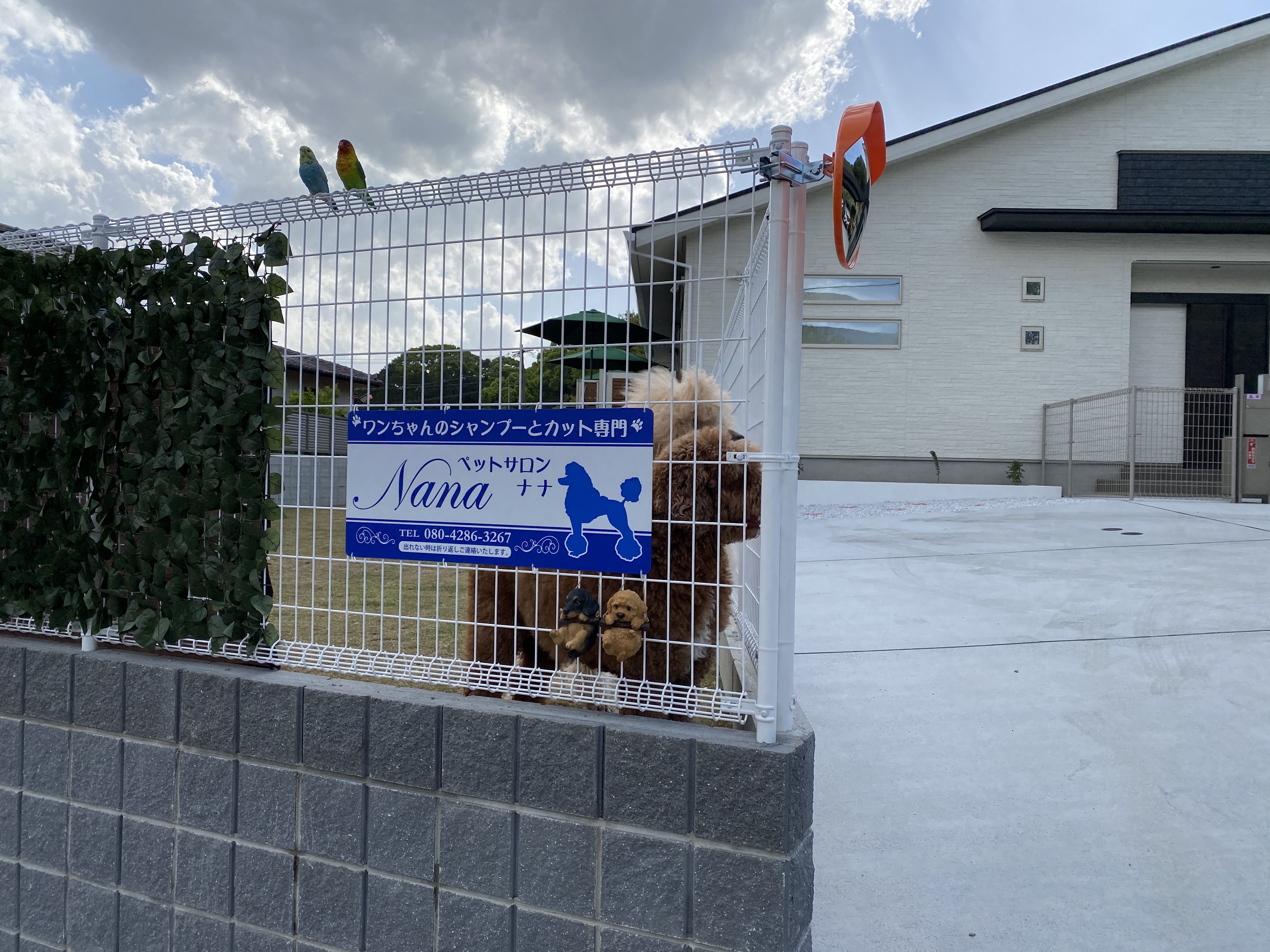 福岡県太宰府市のトリミングサロン ペットサロン ナナの3枚目