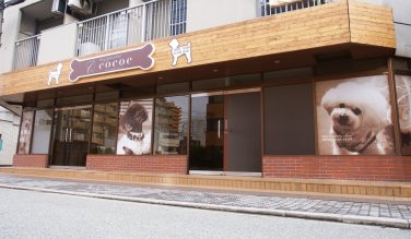 dog paradise Cocoe 淀川店 のサムネイル
