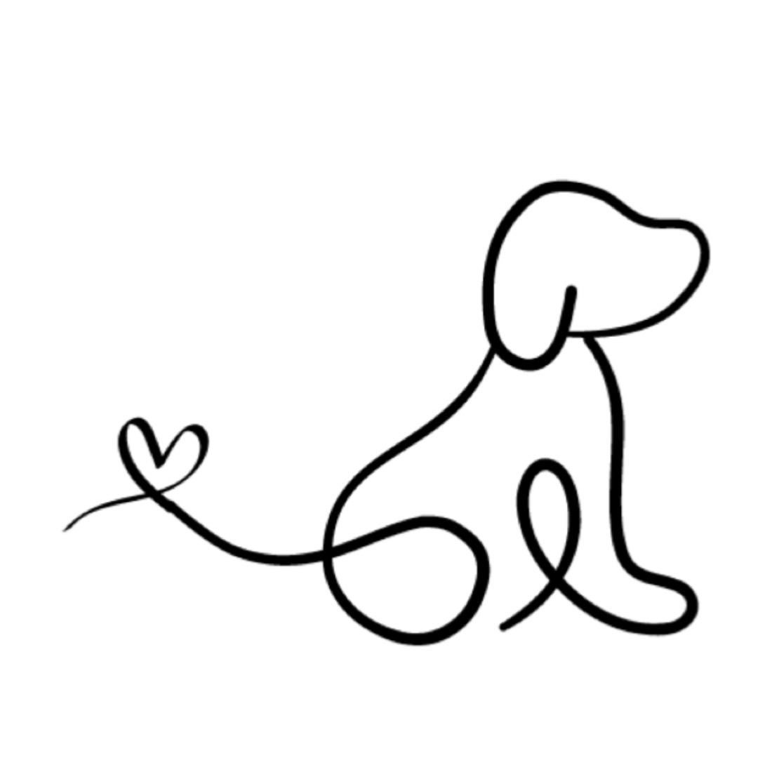 東京都目黒区のトリミングサロン Dog support Tailsのサムネイル2枚目