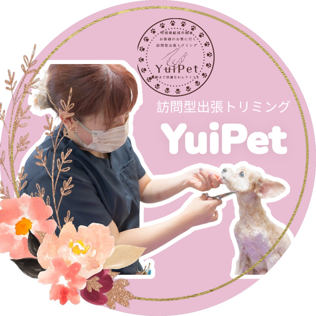 茨城県結城市のトリミングサロン 訪問型出張トリミングYuiPetのサムネイル1枚目