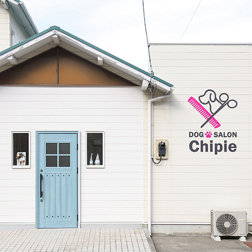 香川県丸亀市のトリミングサロン Dog Salon Chipieのサムネイル2枚目