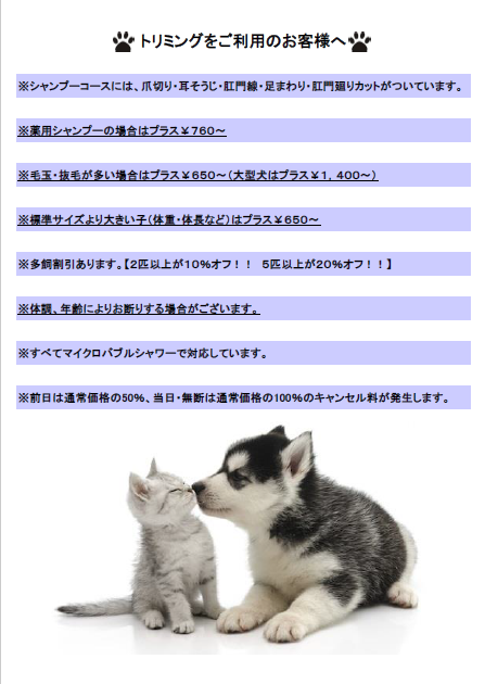愛知県名古屋市西区のトリミングサロン DOG SALON TiLoの5枚目