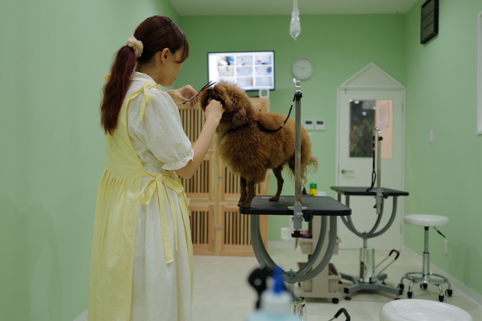 宮崎県宮崎市のトリミングサロン Dogsalon＆Hotelとろろの8枚目