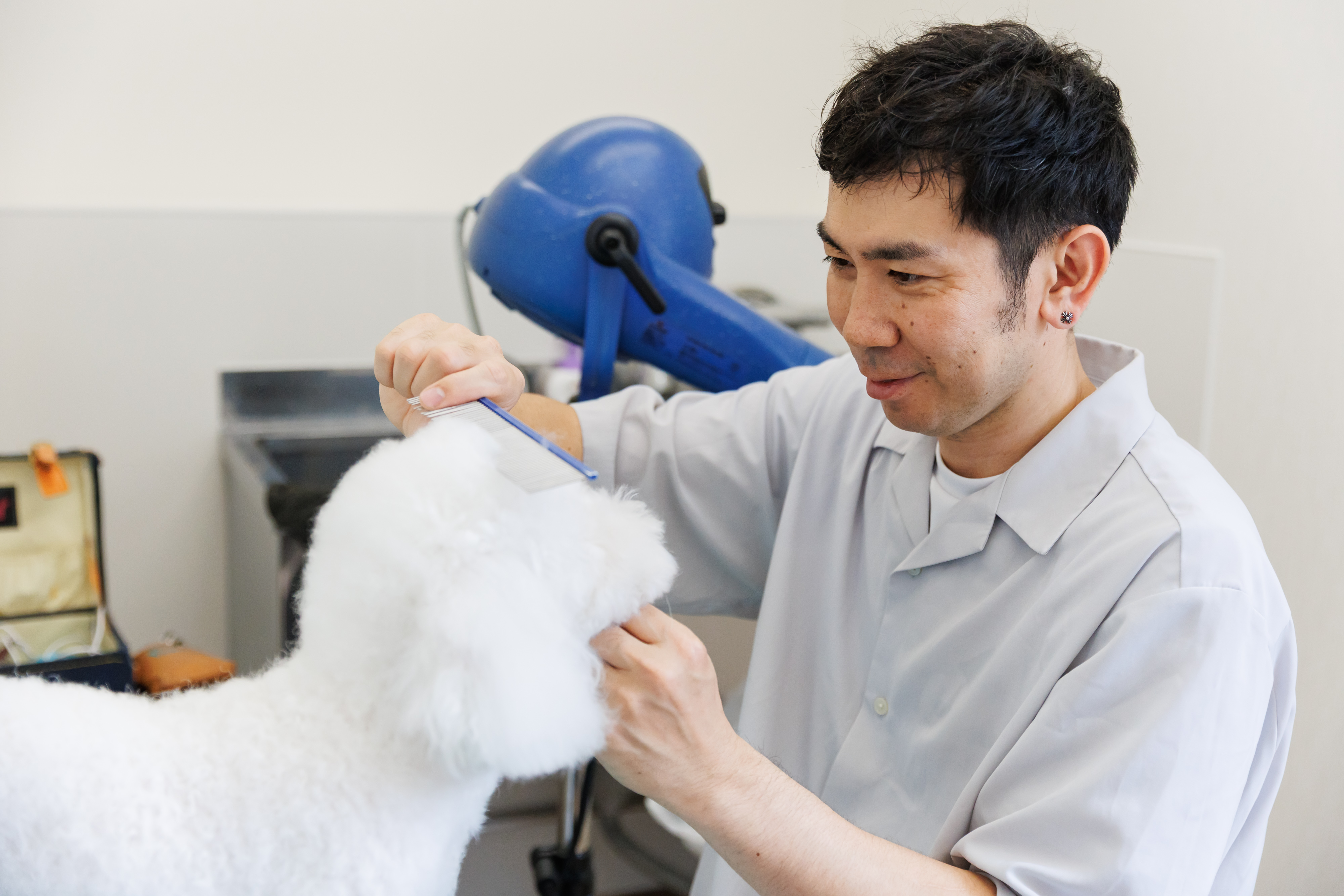 奈良県香芝市のトリミングサロン 犬の大衆理容.出張トリミングDREAMERの3枚目