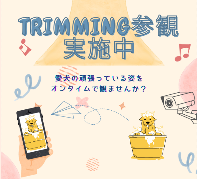 トリミング参観