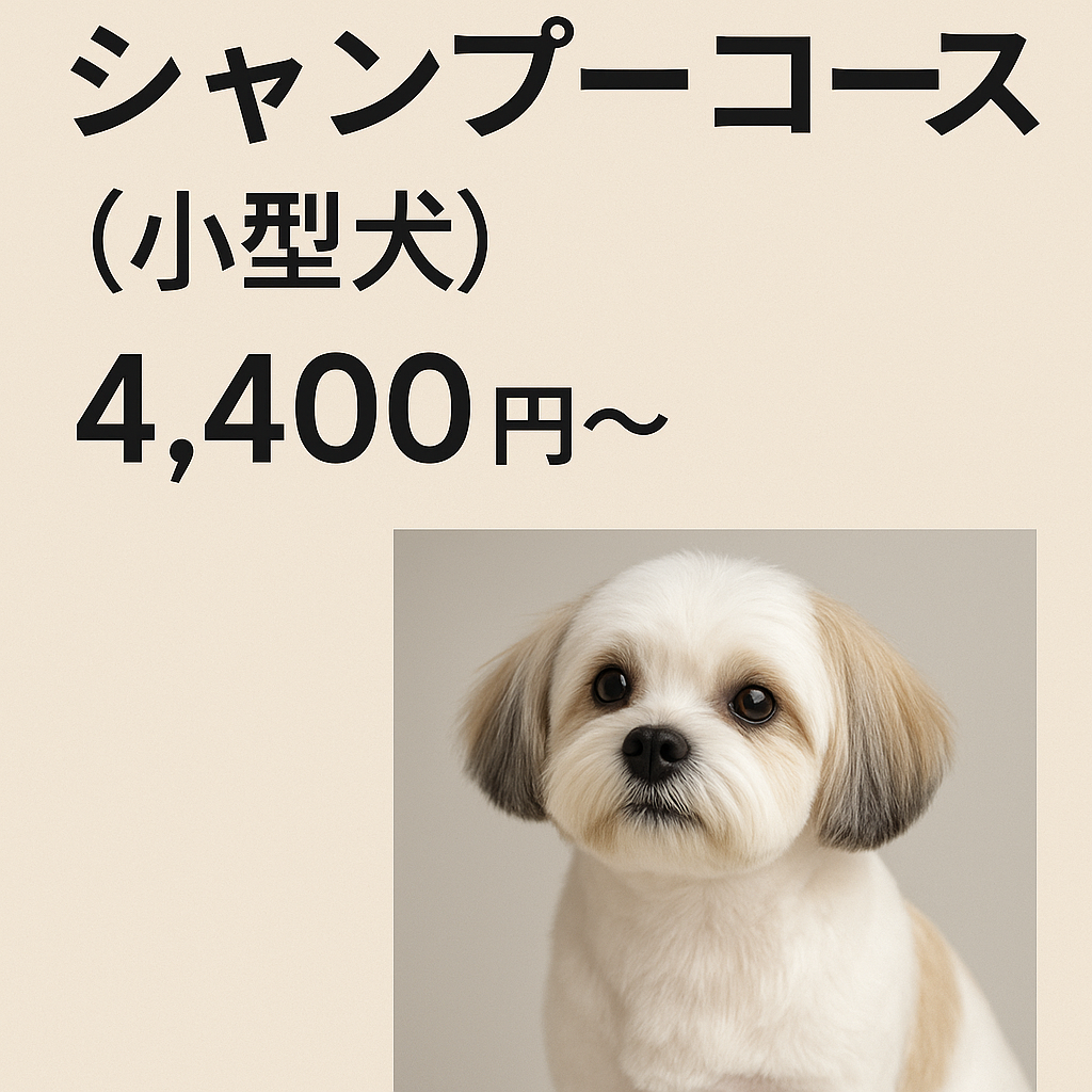 高品質シャンプー使用