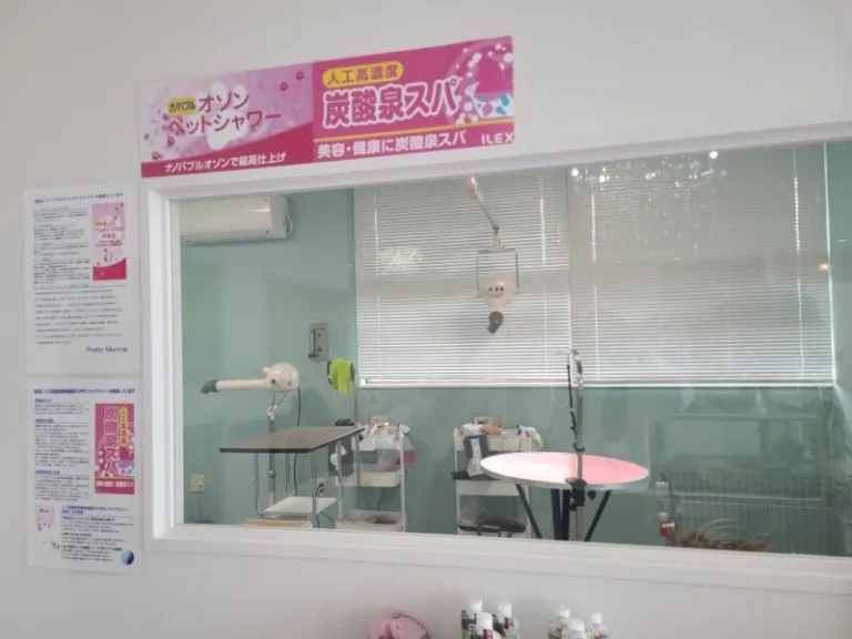 salon de pretty monroe 4