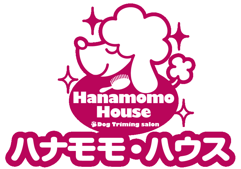 福岡県宮若市のトリミングサロン HANAMOMO HOUSEのサムネイル1枚目
