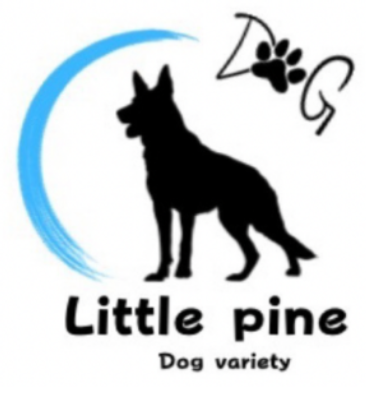 Dog variety Little pine のサムネイル