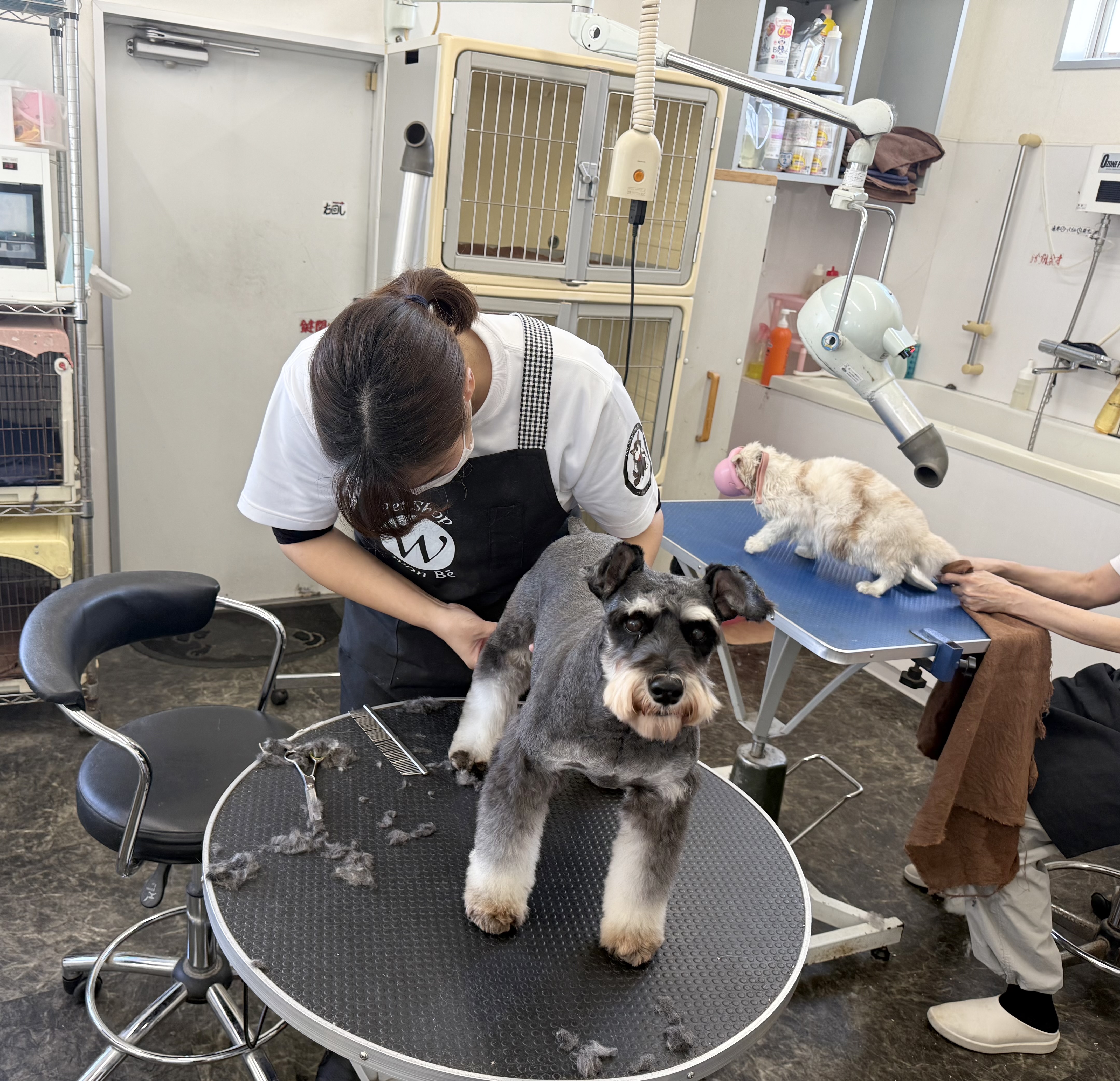 ペットショップWonBe 3