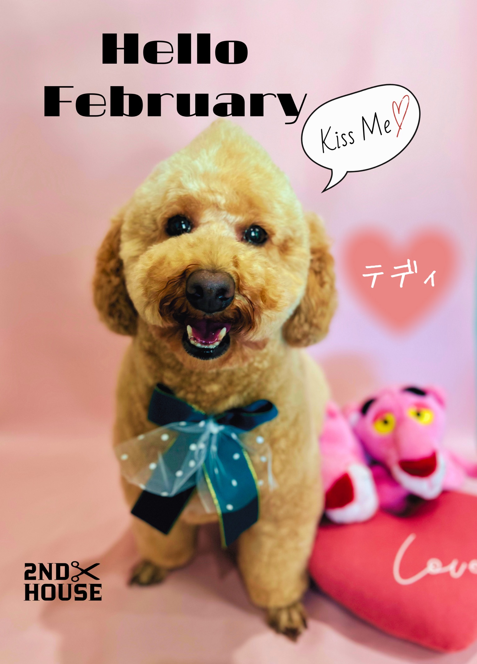 トリミングカット 2ND HOUSEの1枚目