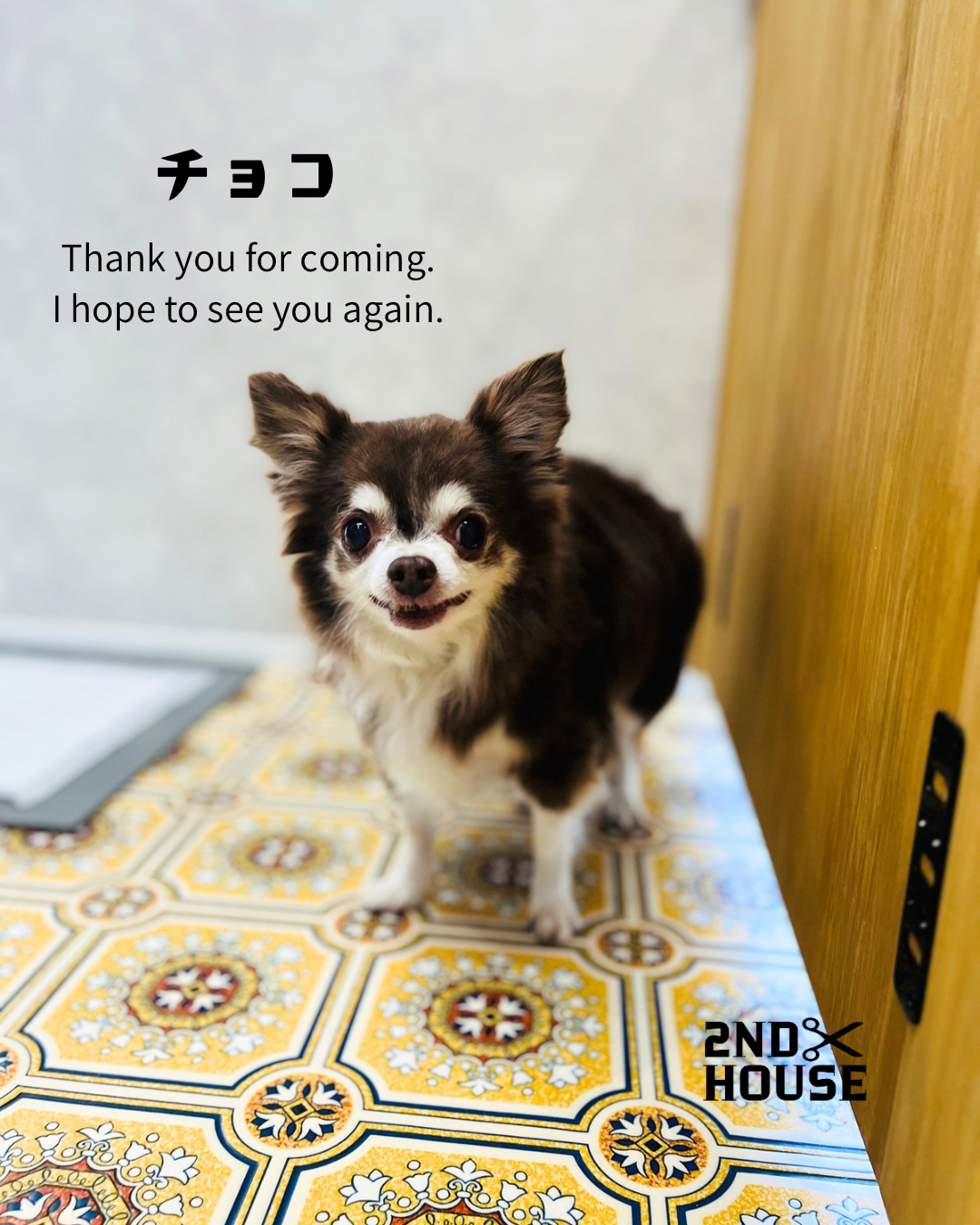 トリミングカット 2ND HOUSEの1枚目