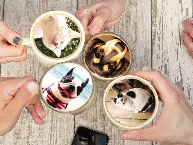 トリミング後はカフェでほっとひと息。思い出を形にする「カフェプリコース」