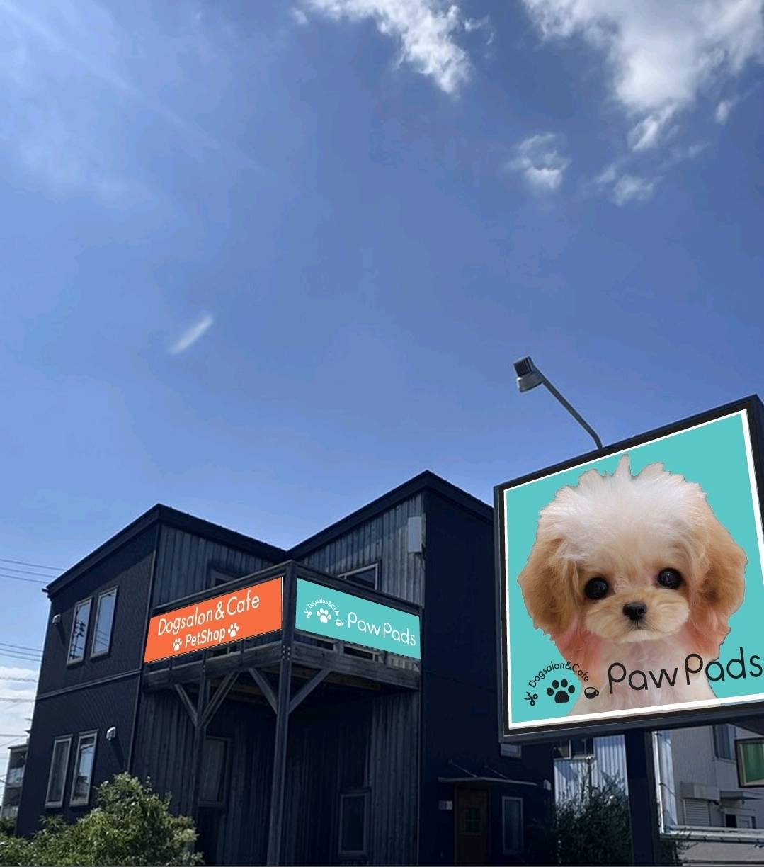 岡山県岡山市北区のトリミングサロン Dogsalon&Cafe PawPadsの3枚目