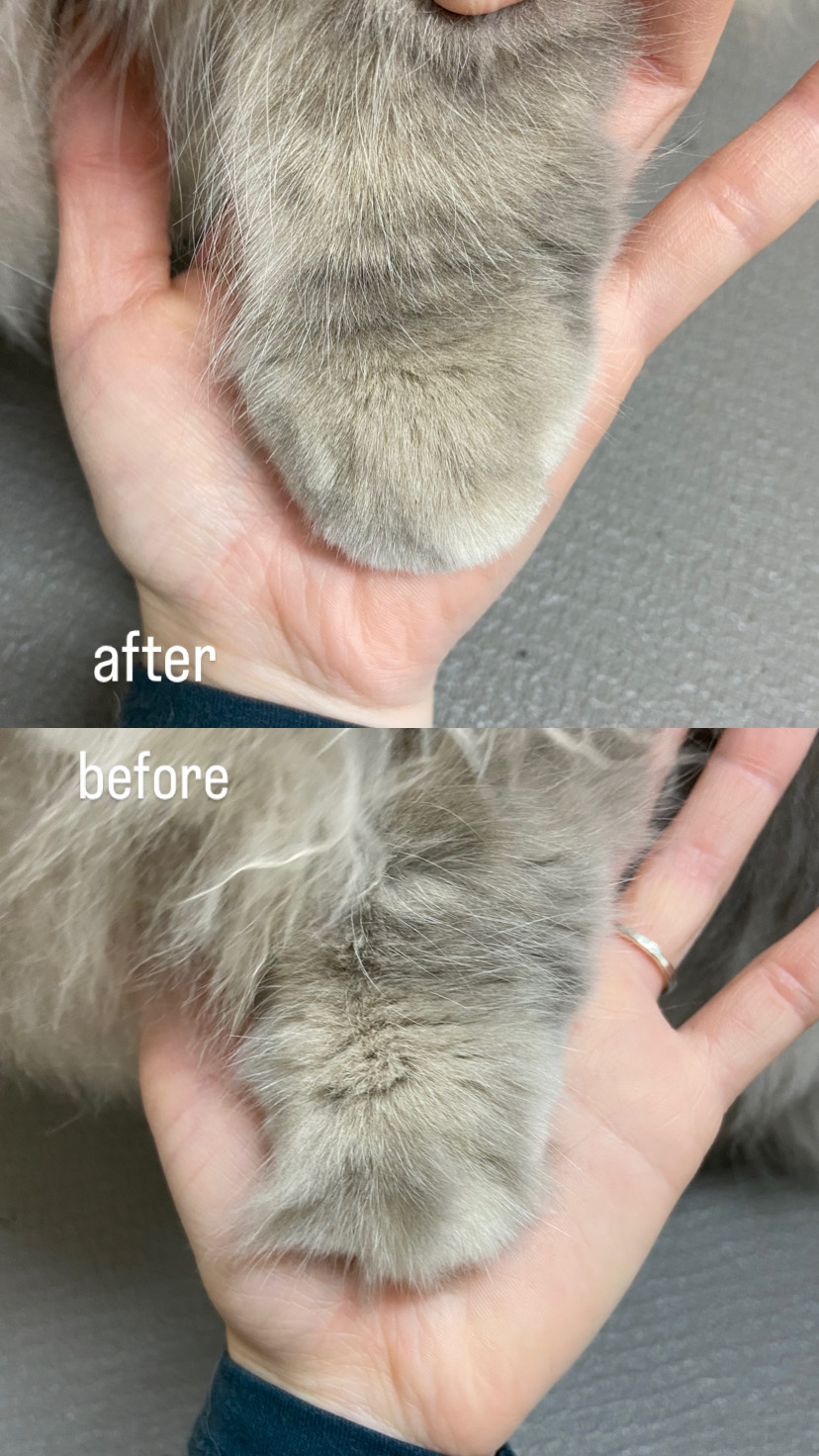 トリミングカット fluffycotの1枚目