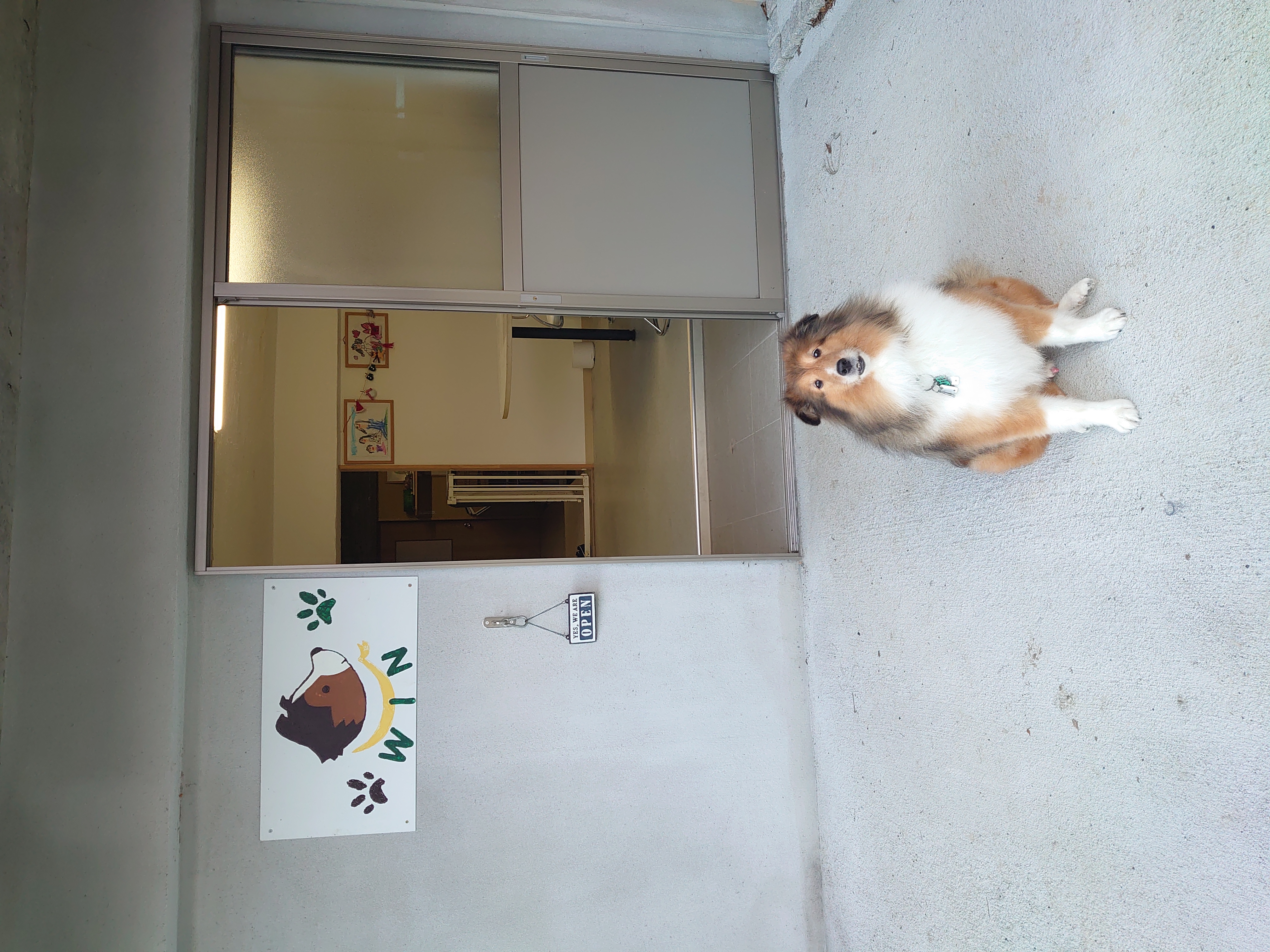 兵庫県西脇市のトリミングサロン WINの2枚目