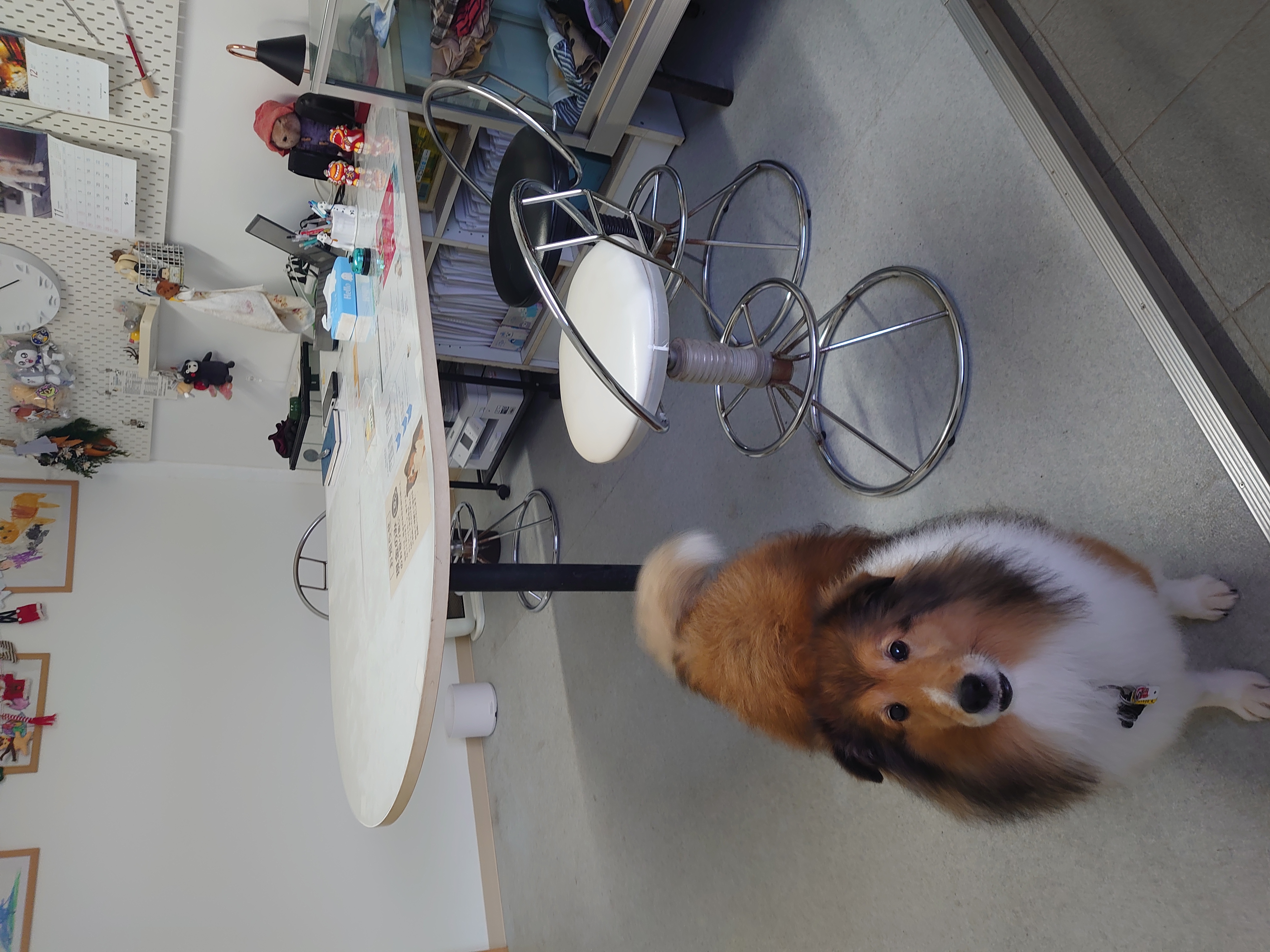 WIN のサムネイル