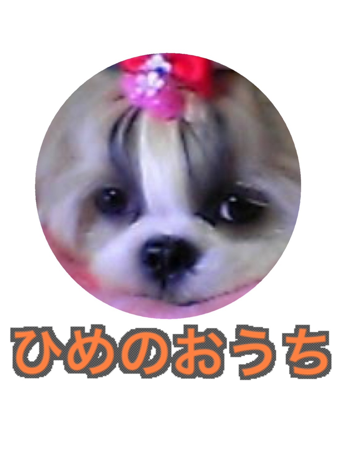 ペットハウス ひめのおうち のサムネイル