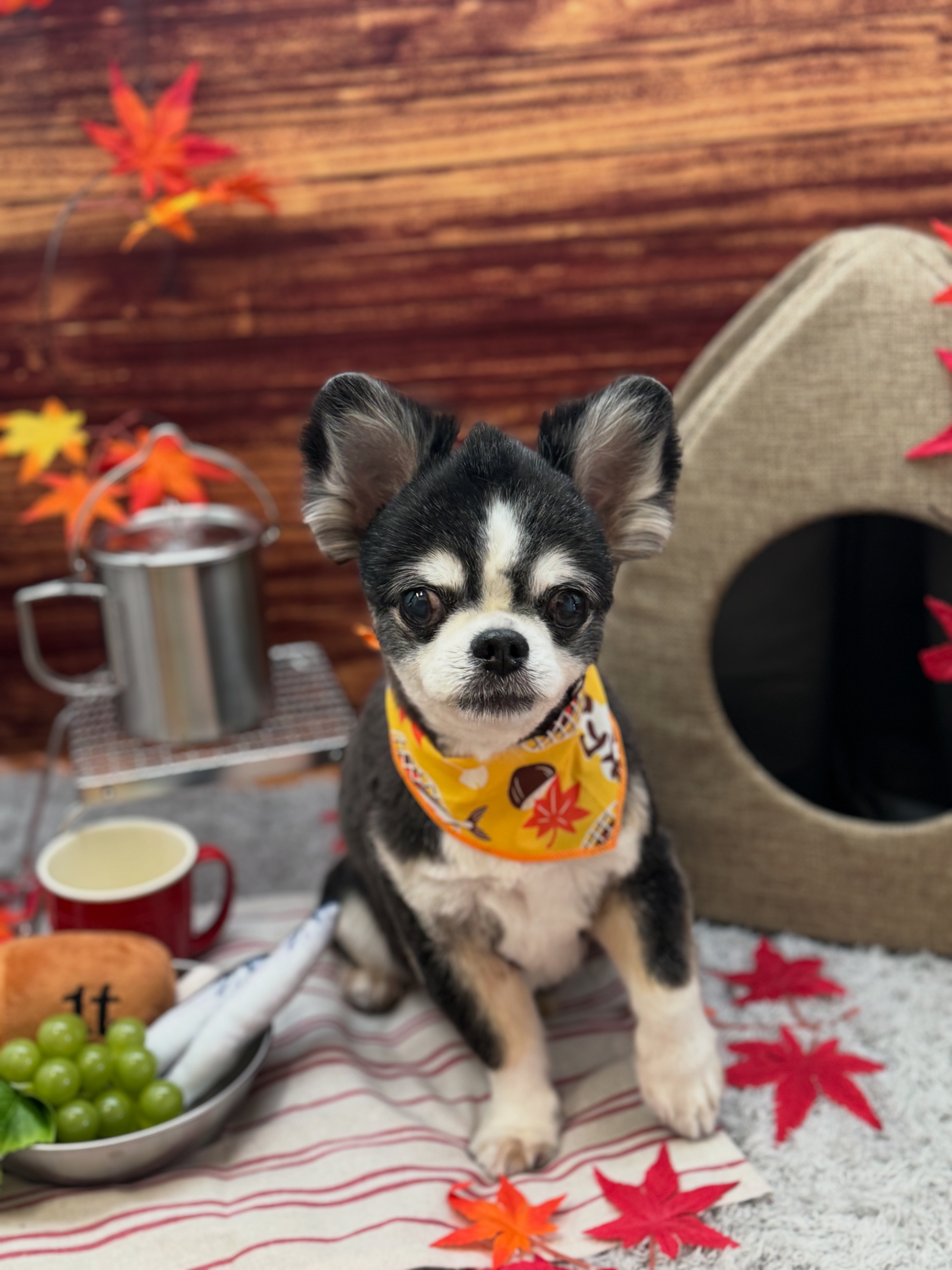 高齢という理由のみで予約はお断りしておりません！