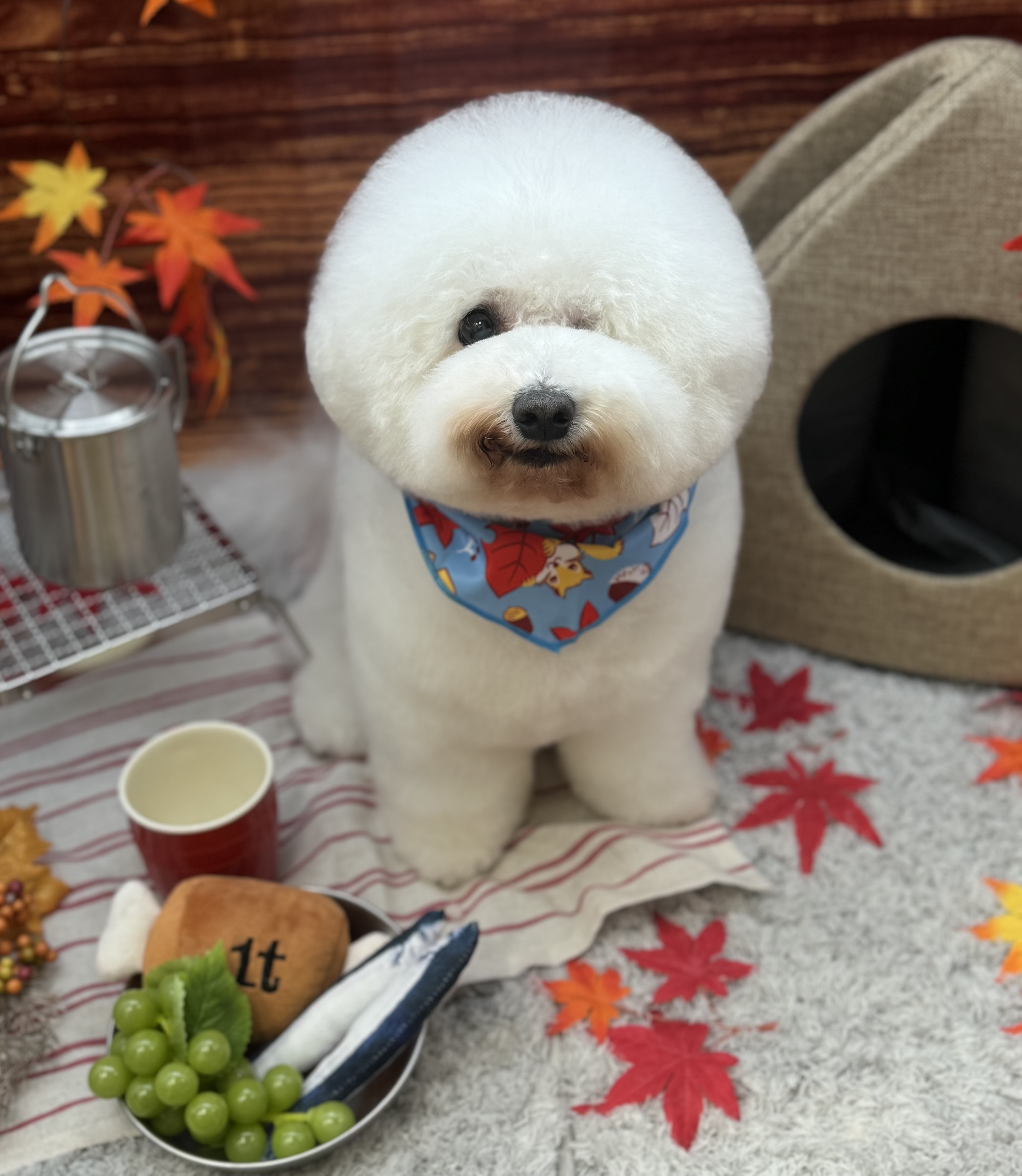 カット技術の高さ